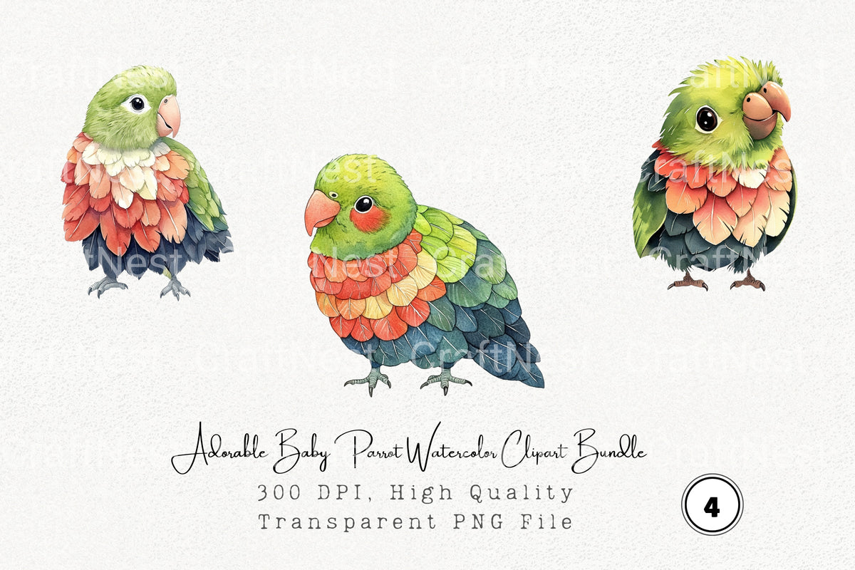 Adorable Baby Parrot Clipart Bundle