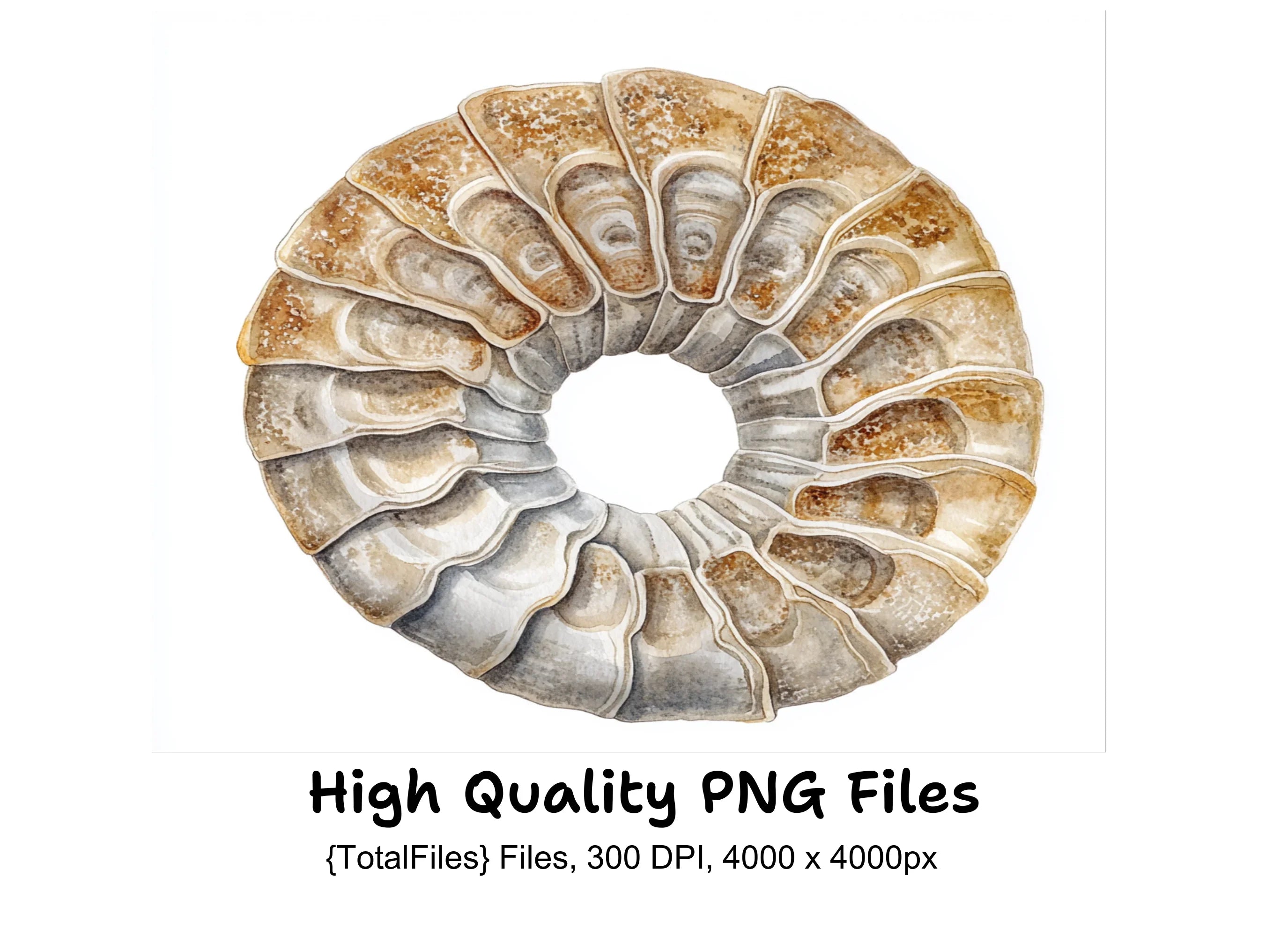 Ammonite Fossil Clipart Bundle