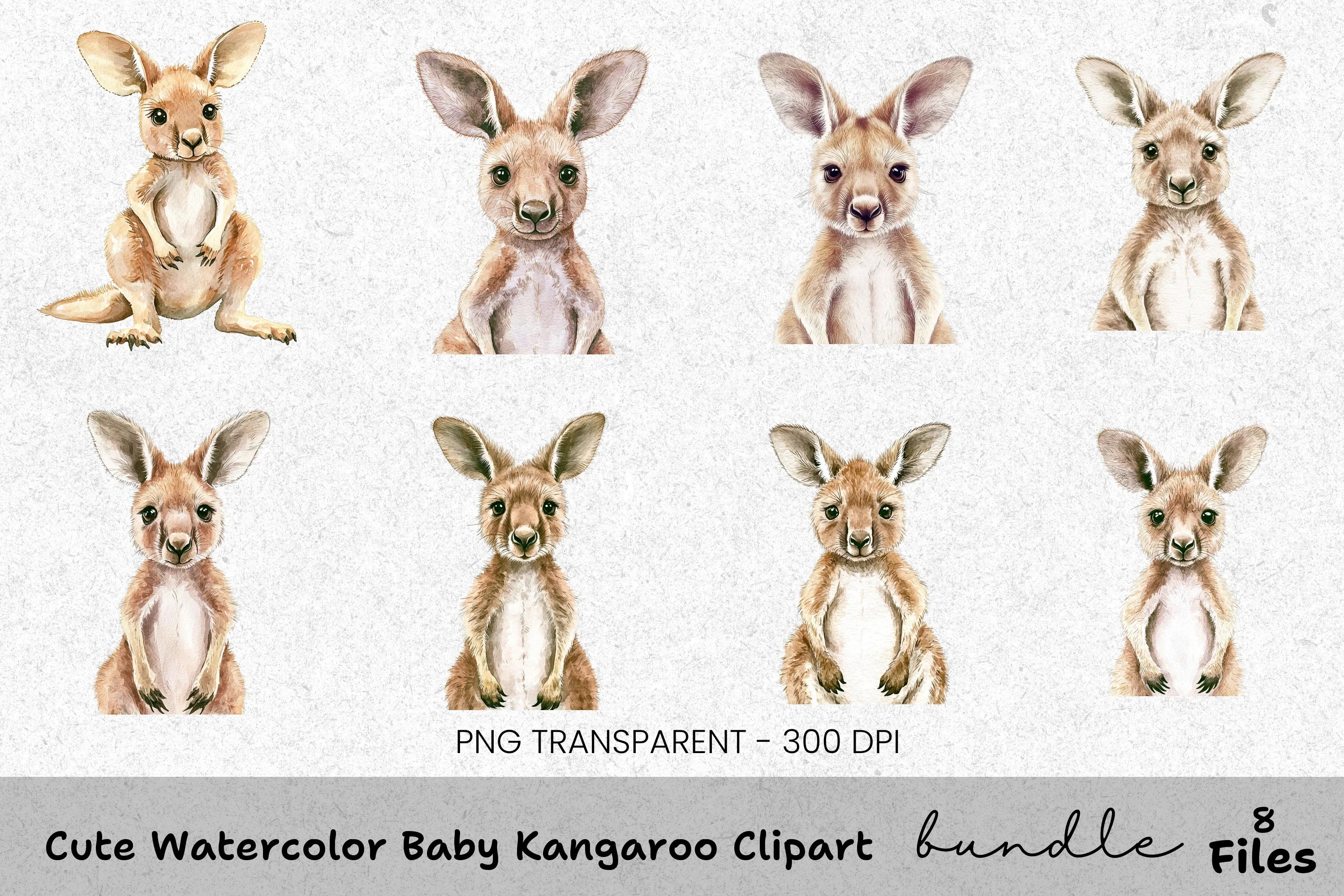 Cute Baby Kangaroo Clipart Bundle