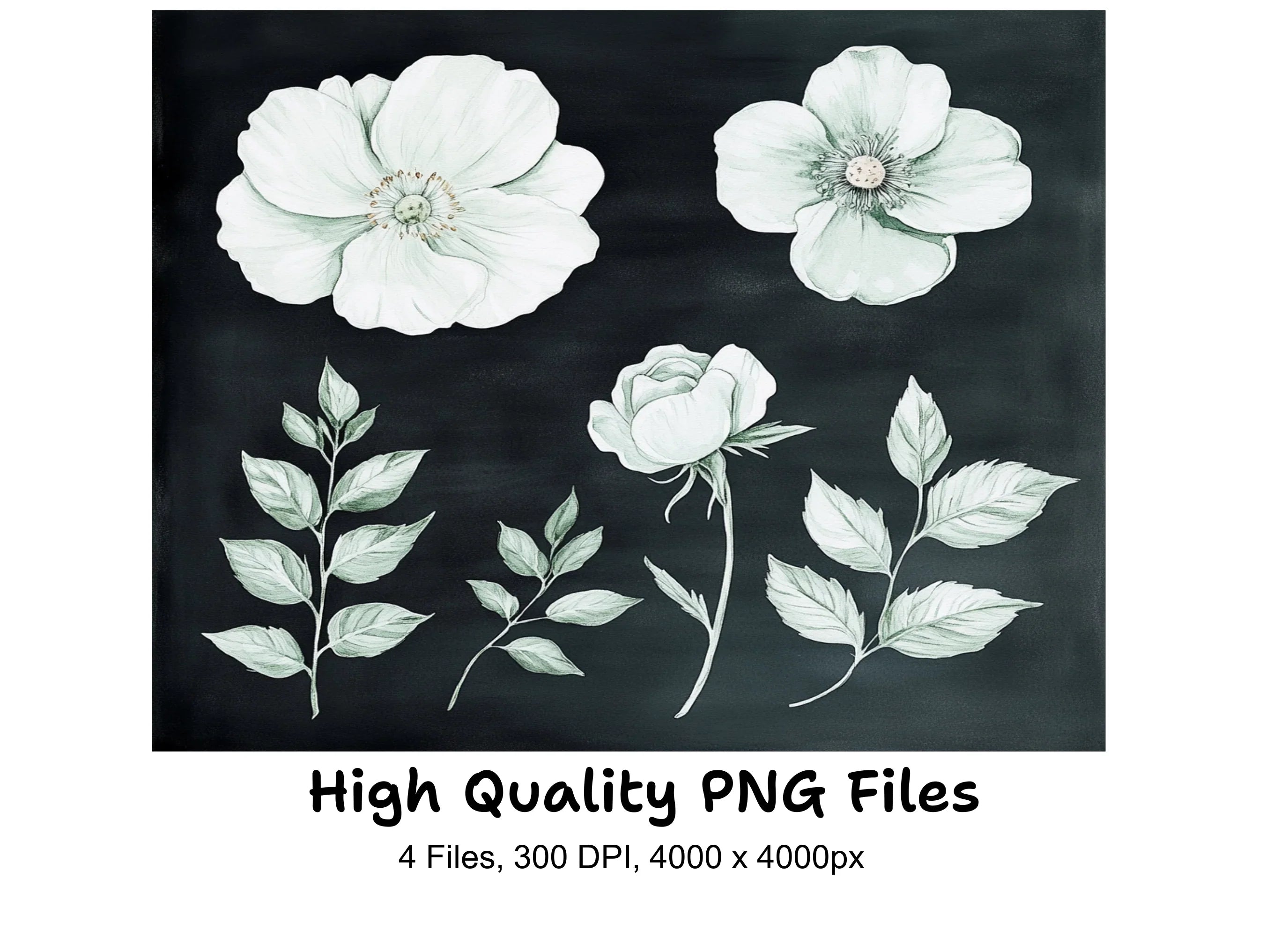 Elegant White Floral Clipart Bundle