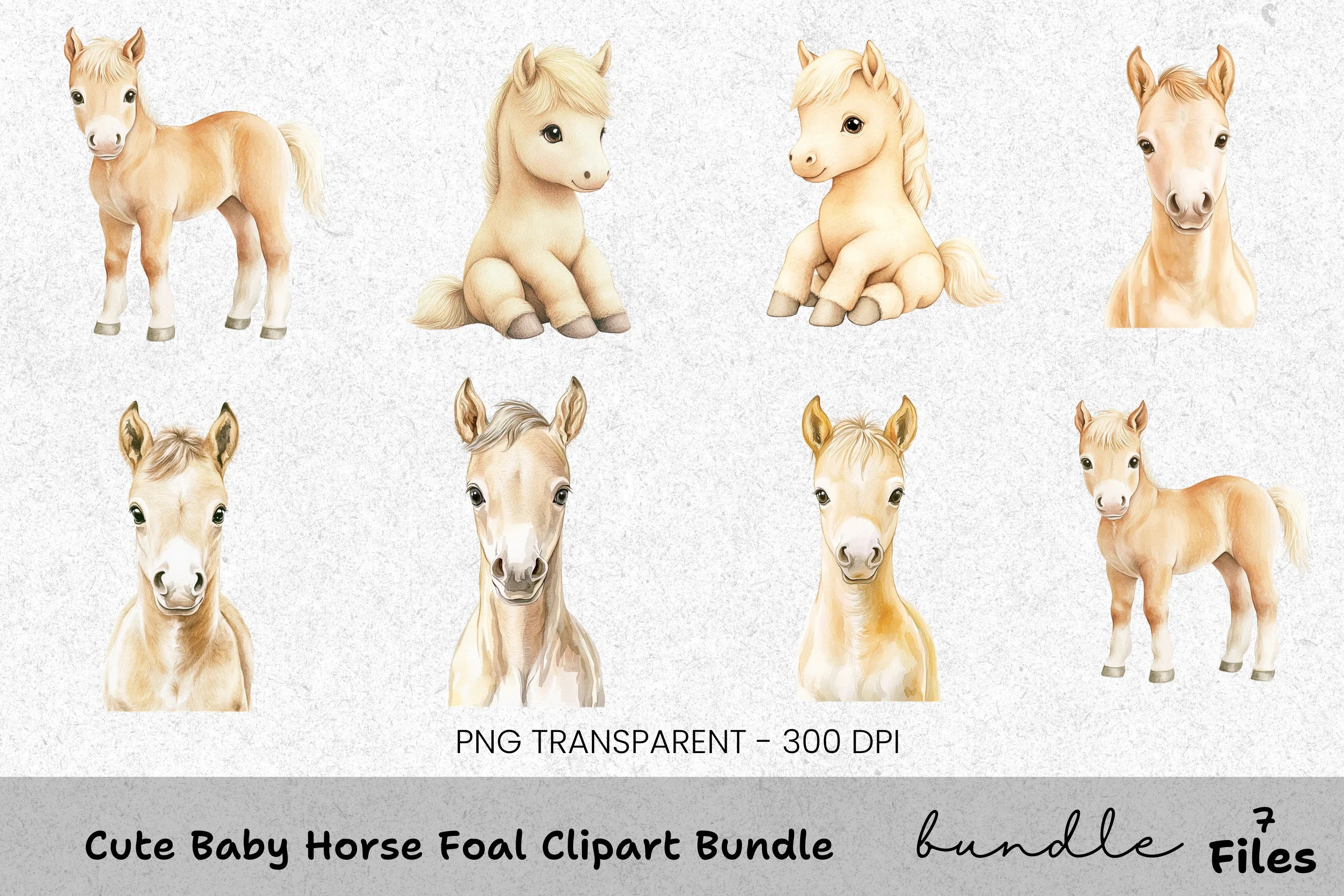 Cute Baby Horse Foal Clipart Bundle