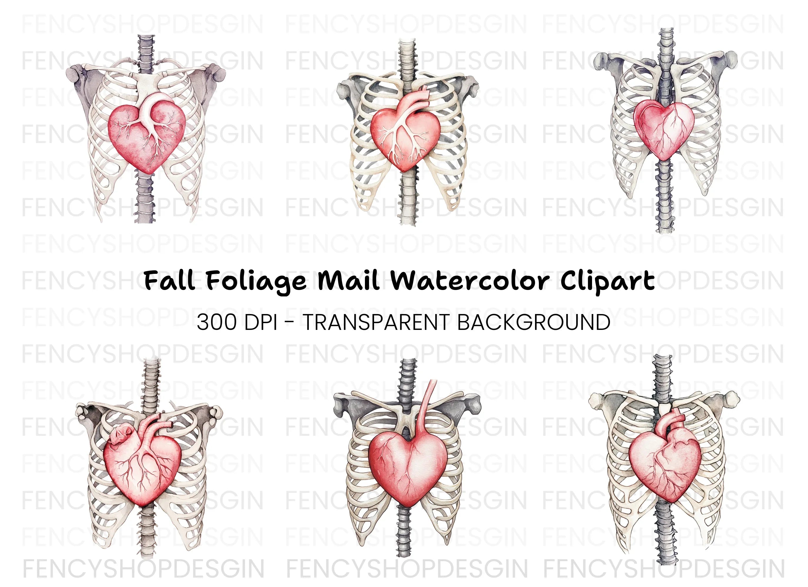Anatomical Heart and Ribcage Clipart Bundle