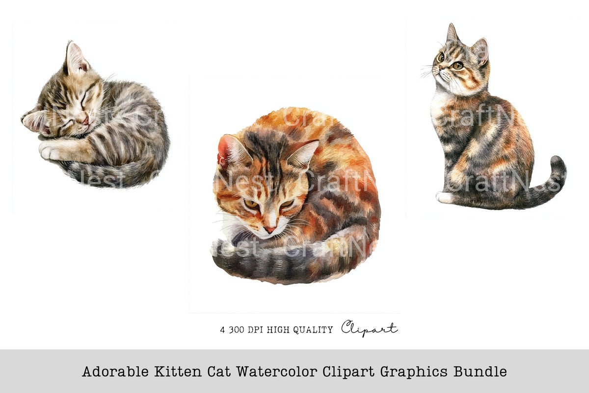 Adorable Kitten Cat Graphics Clipart Bundle