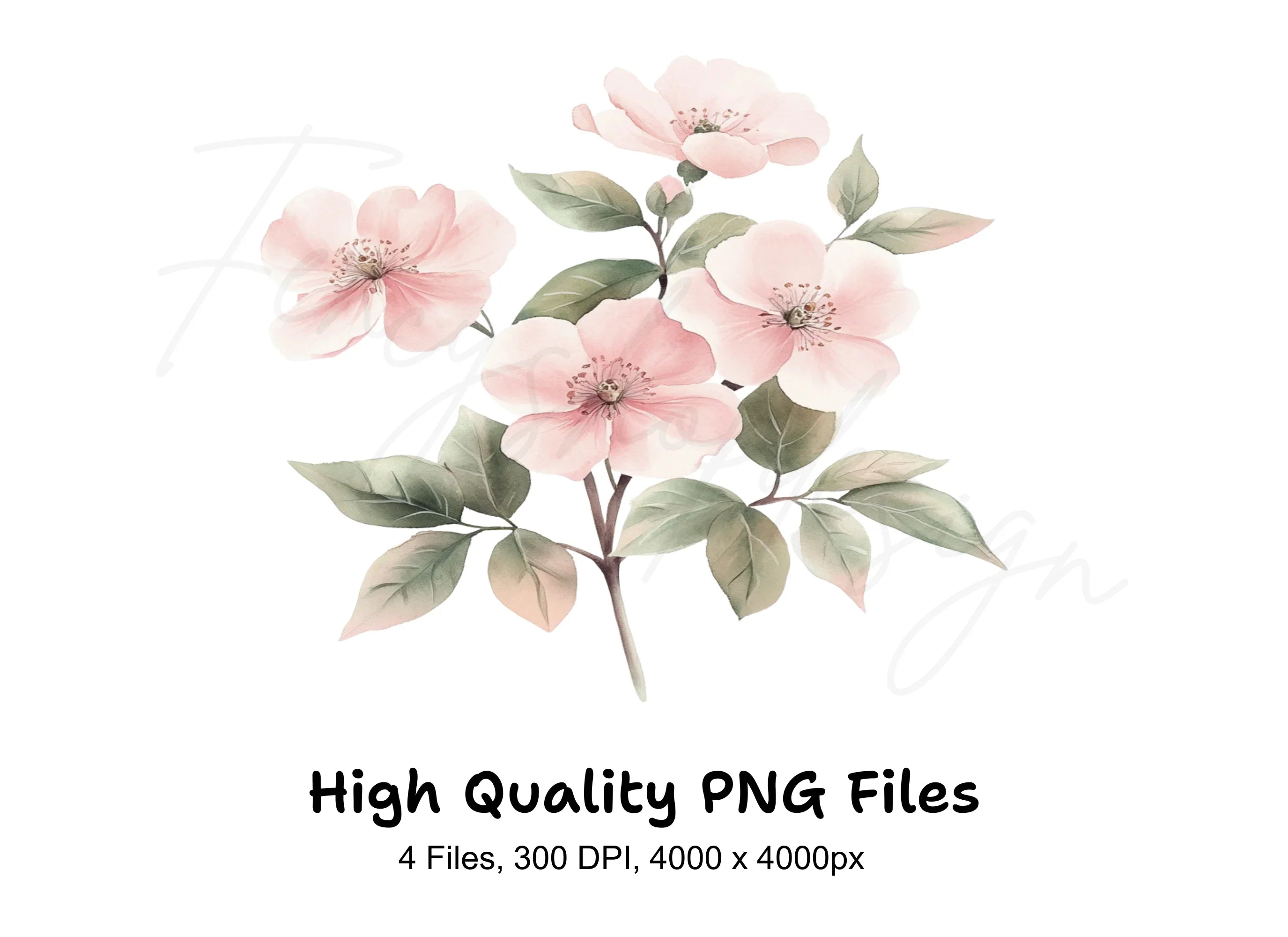 Soft Pink Floral Clipart Bundle