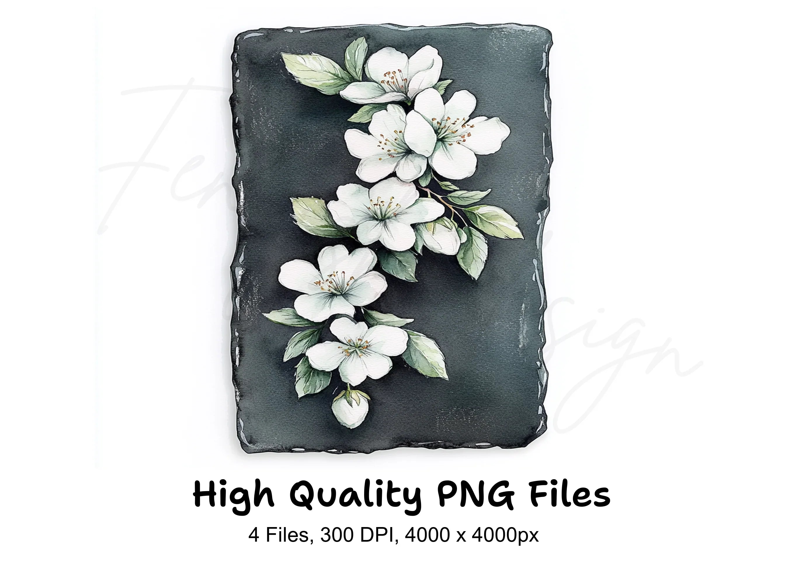Elegant White Flowers on Slate Clipart Bundle