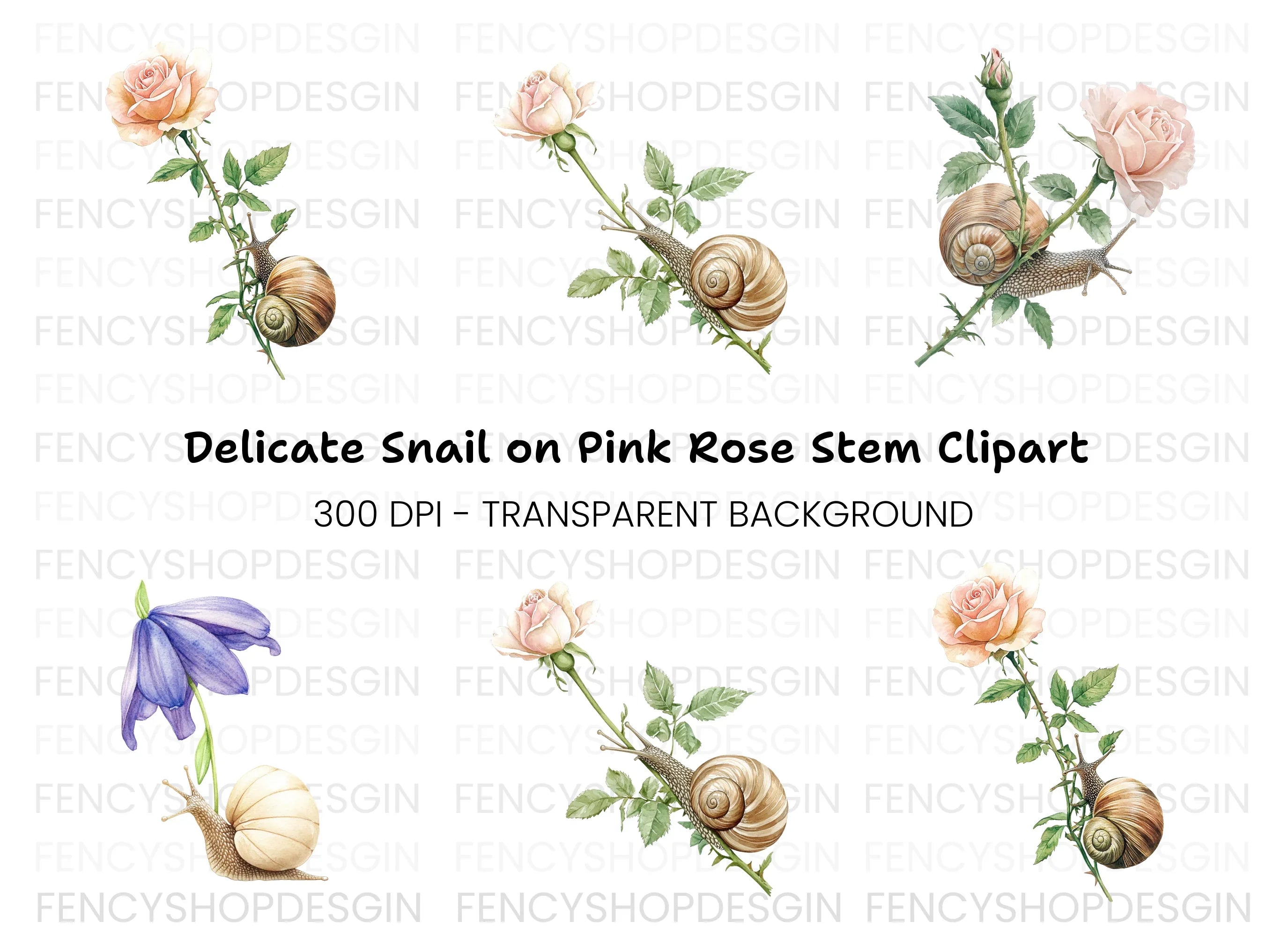Snails and Flowers Clipart Bundle