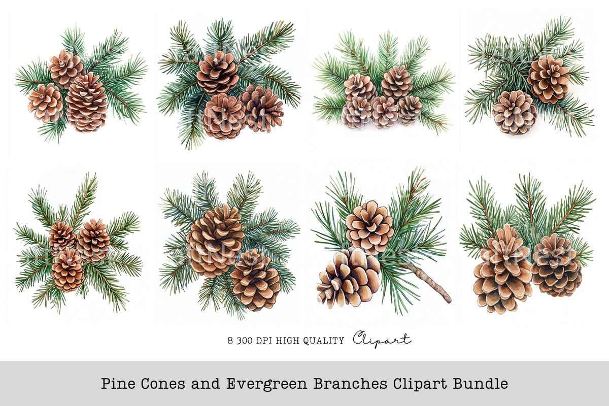 Pine Cones And Evergreen Branches Clipart Bundle