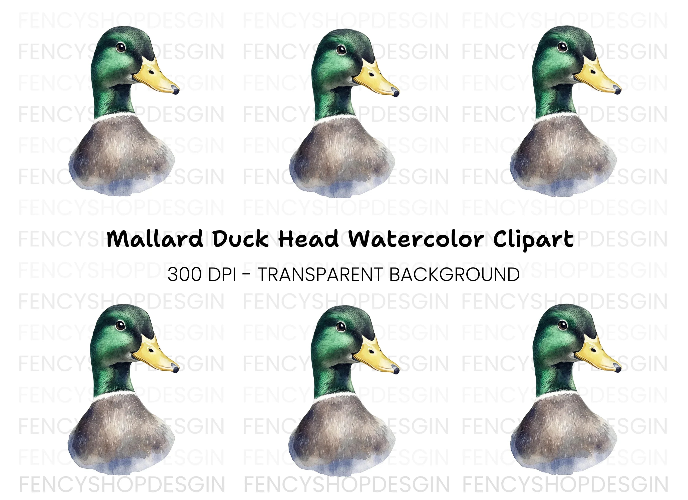 Mallard Duck Head Clipart Bundle
