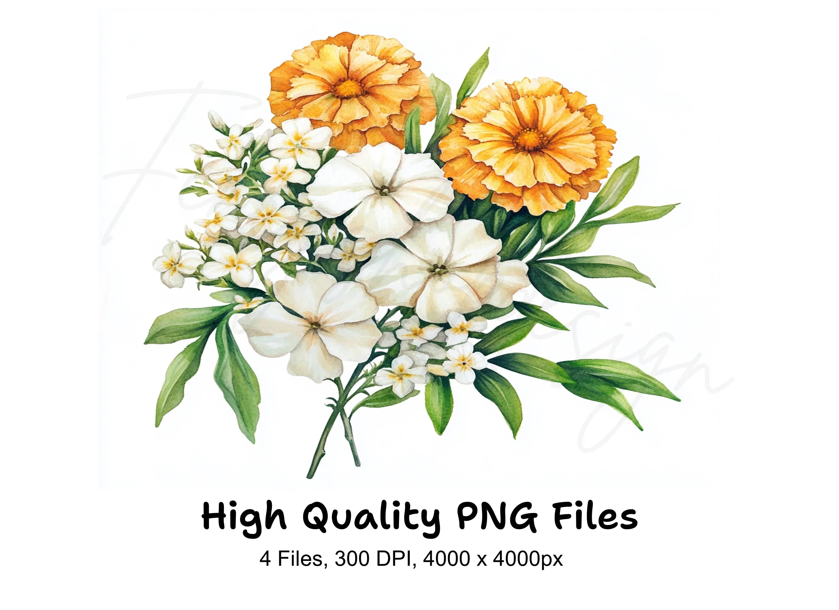 Orange and White Floral Clipart Bundle