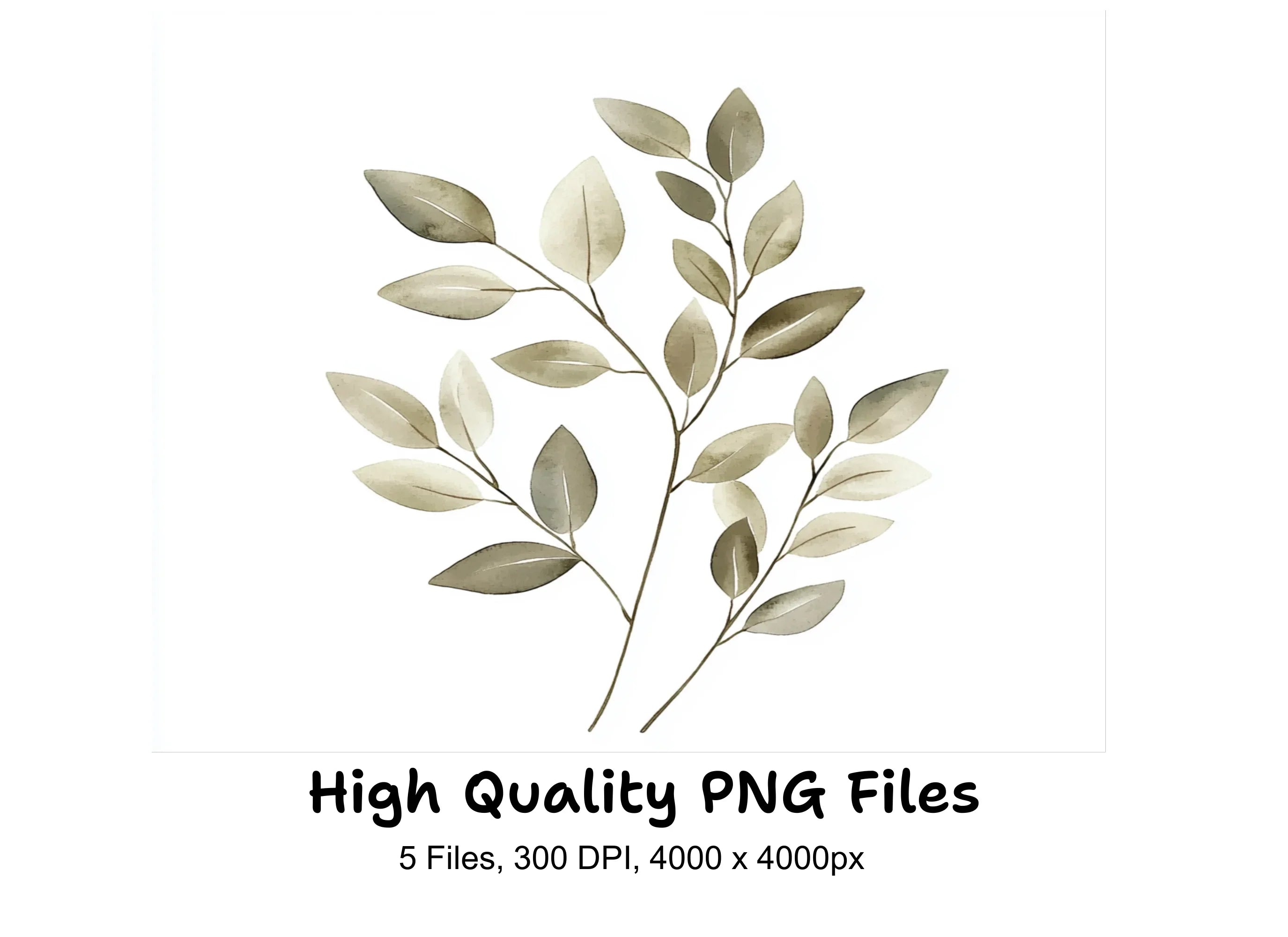 Olive Eucalyptus Clipart Bundle