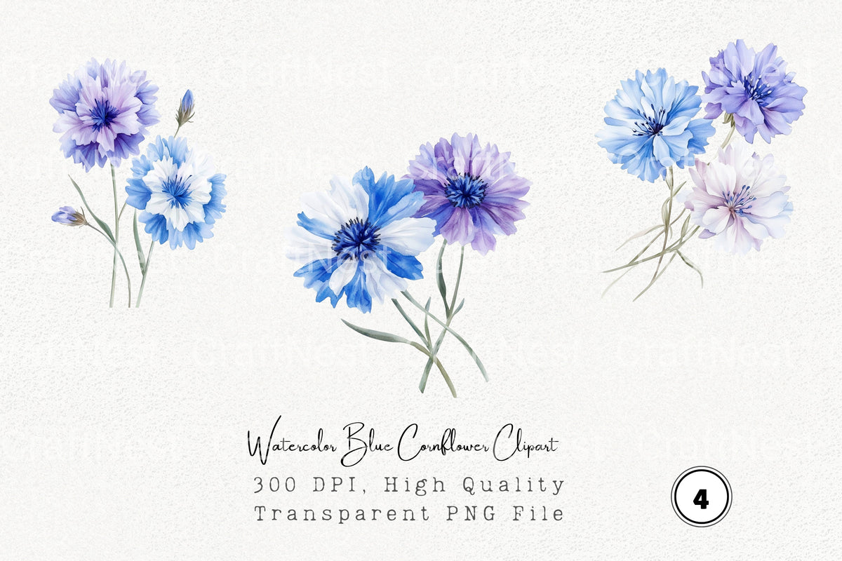 Blue Cornflower Clipart Bundle