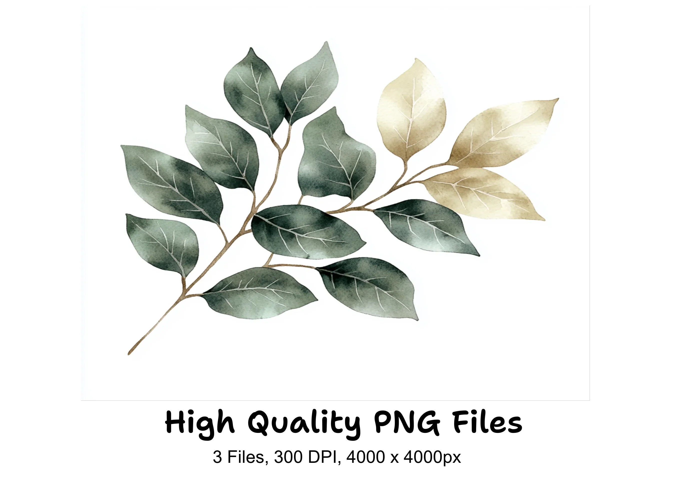 Elegant Green Gold Leaves Clipart Bundle