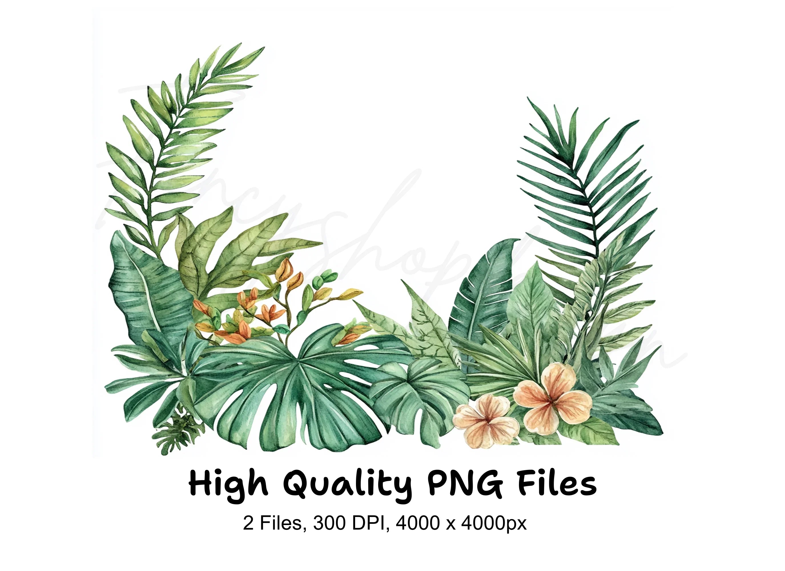 Tropical Leaves Clipart Bundle