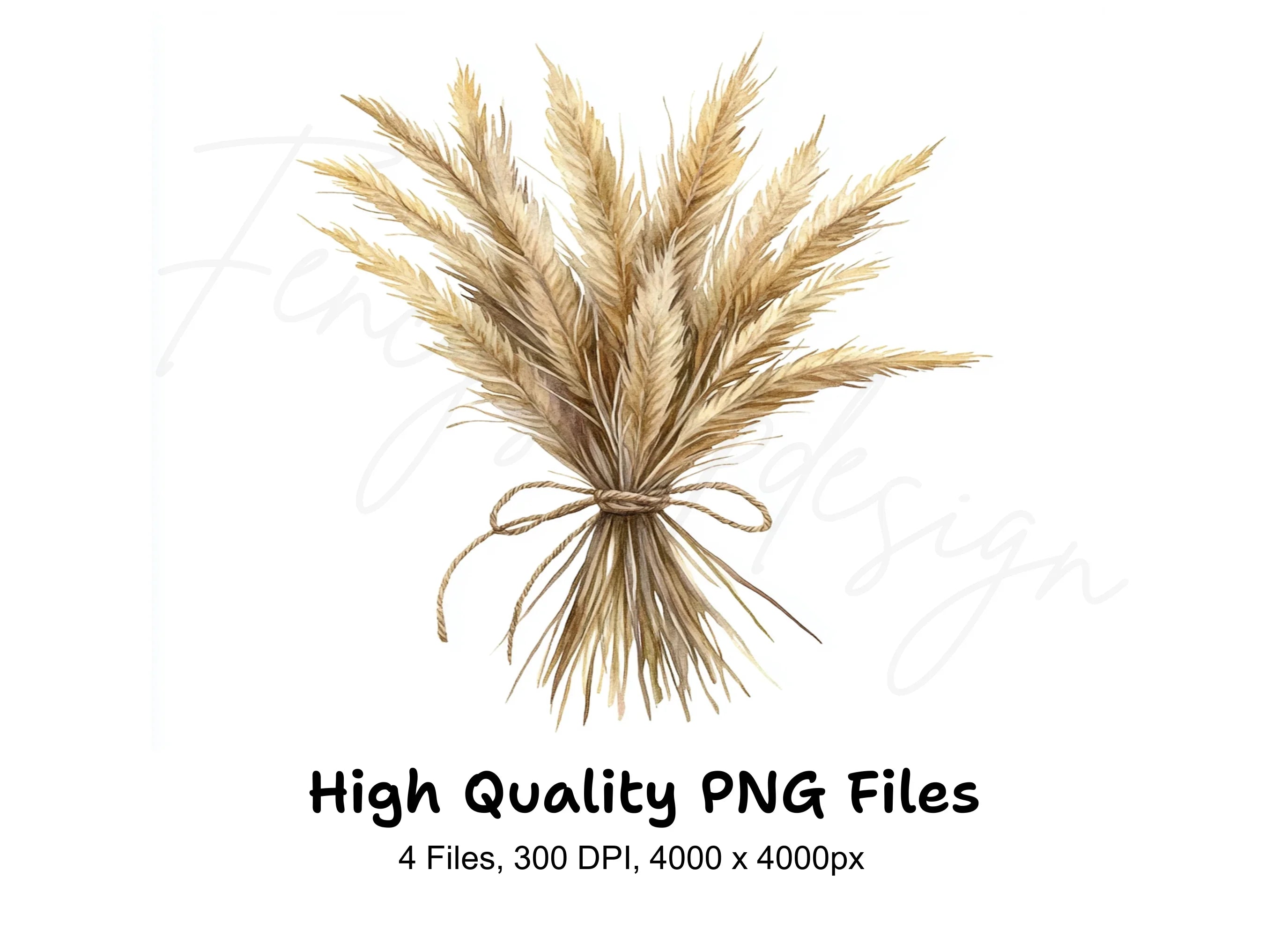 Pampas Grass Bouquets Clipart Bundle