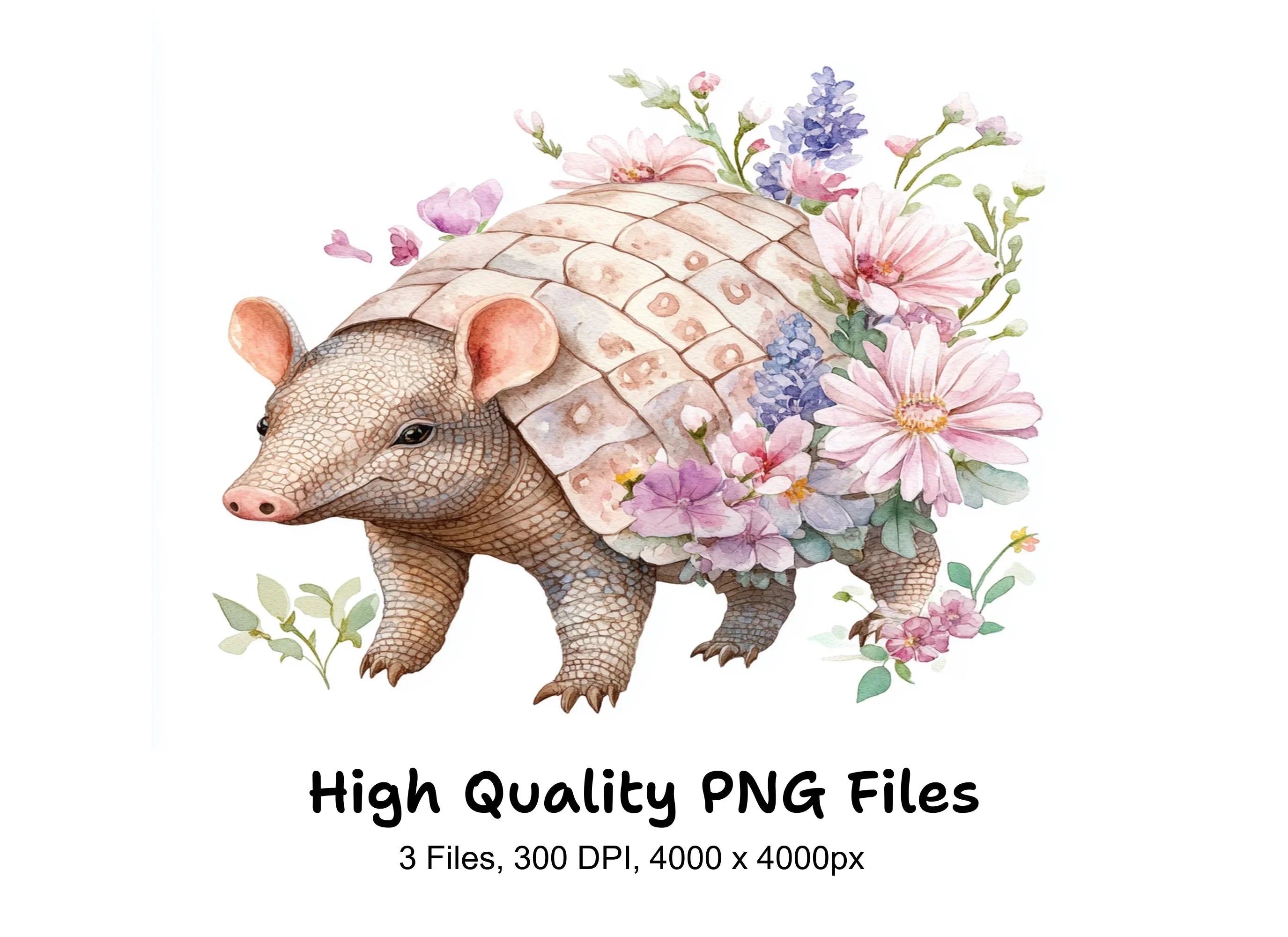 Armadillo Clipart Bundle