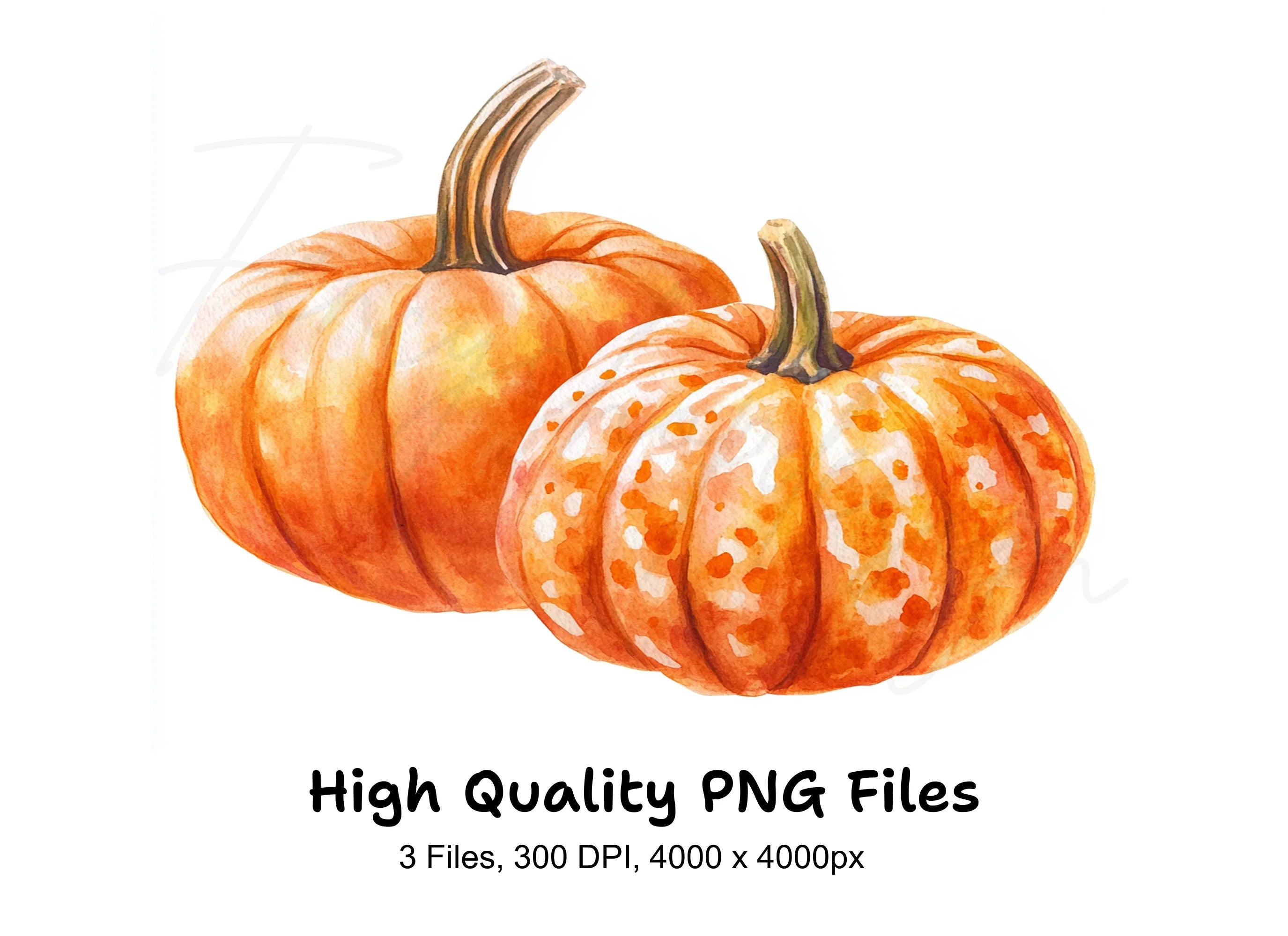 Rustic Pumpkin Clipart Bundle