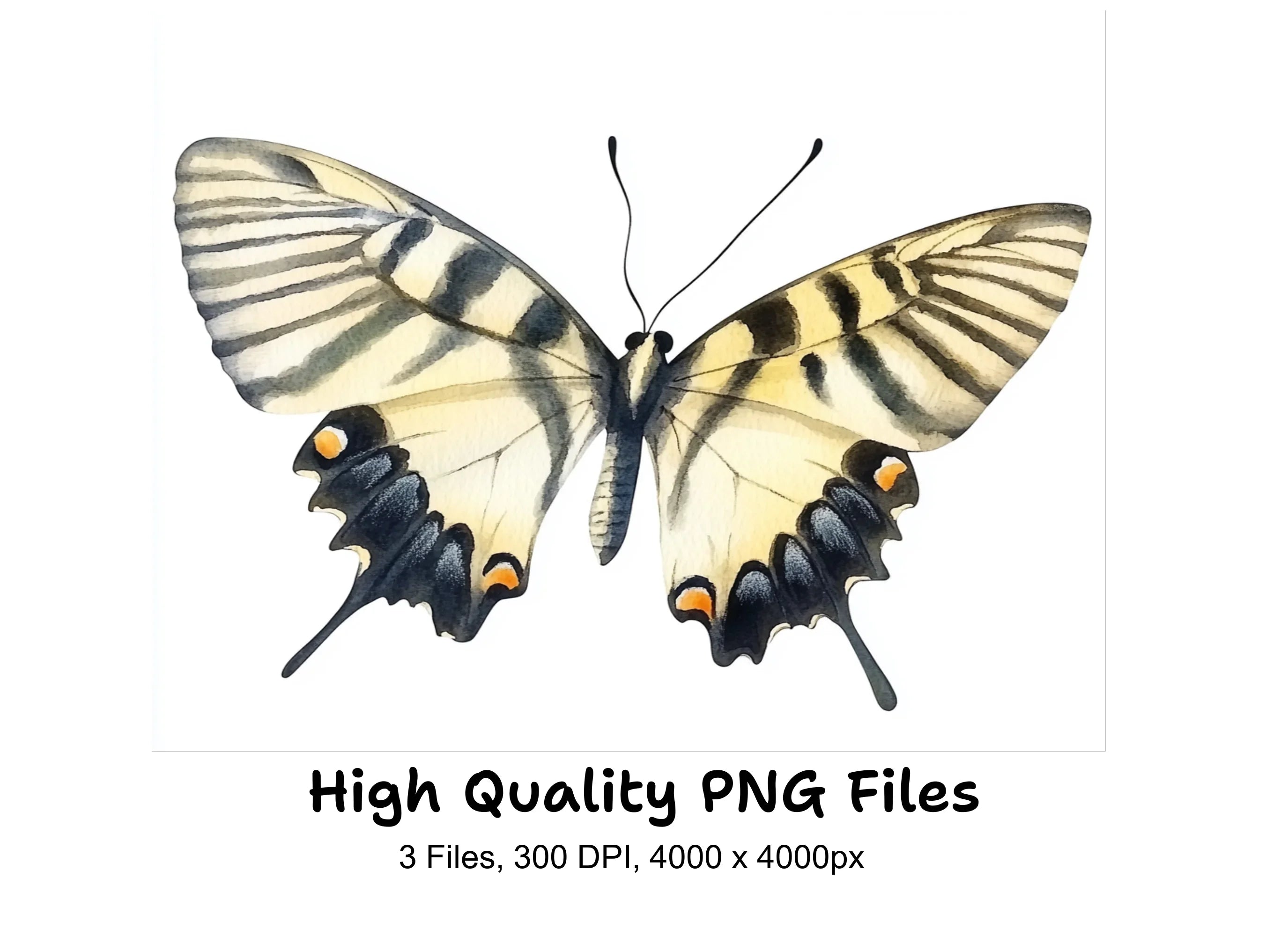 Elegant Swallowtail Butterfly Clipart Bundle