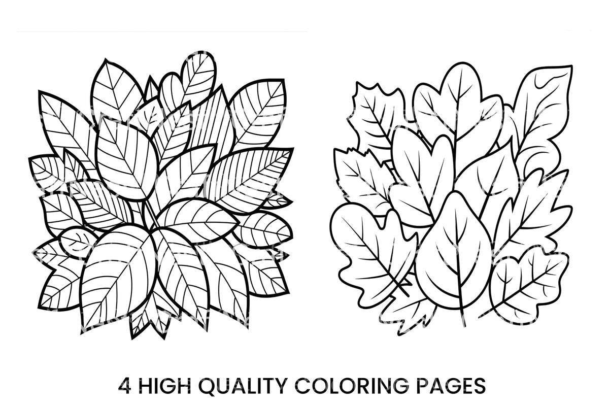 Autumn Leaves Coloring Books
