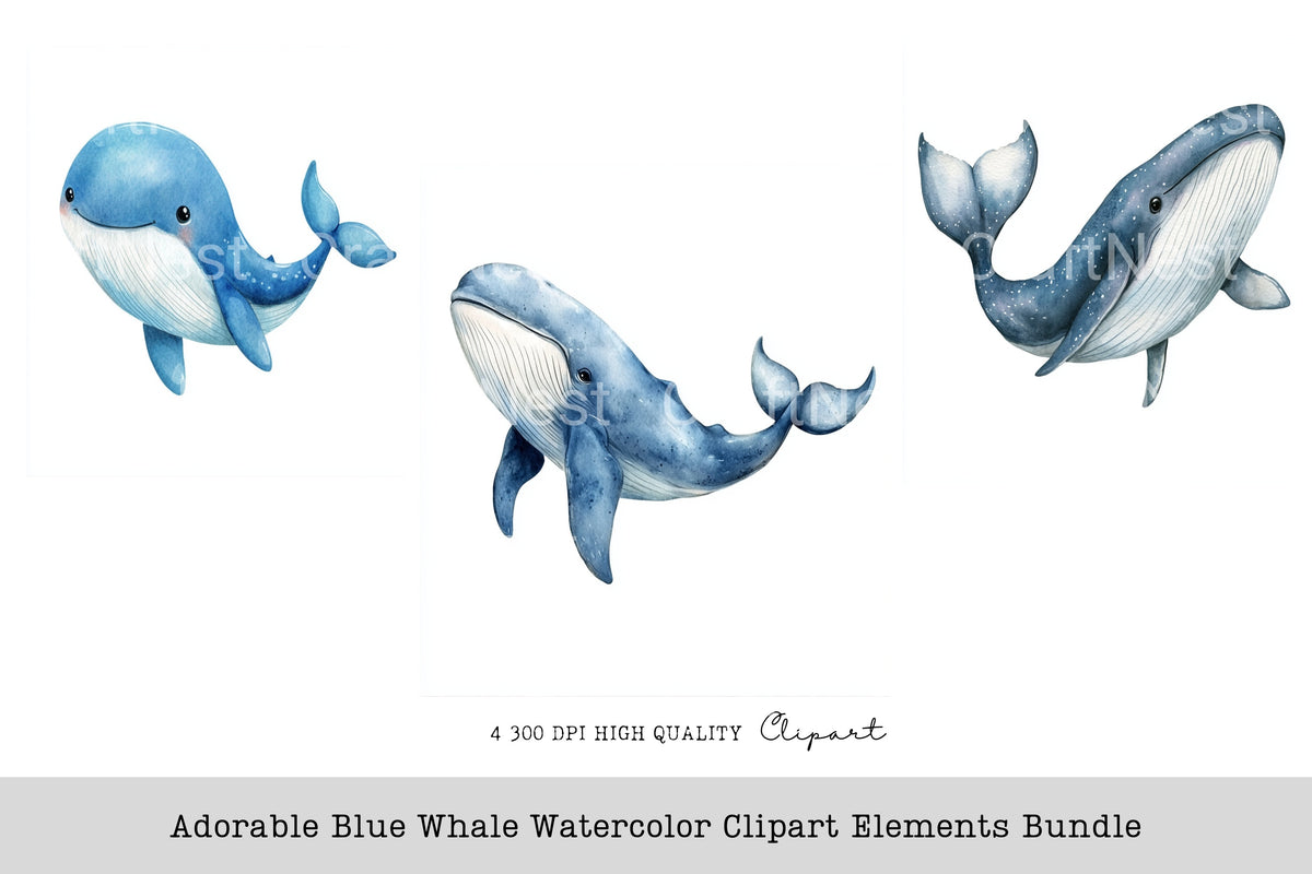 Adorable Blue Whale Elements Clipart Bundle