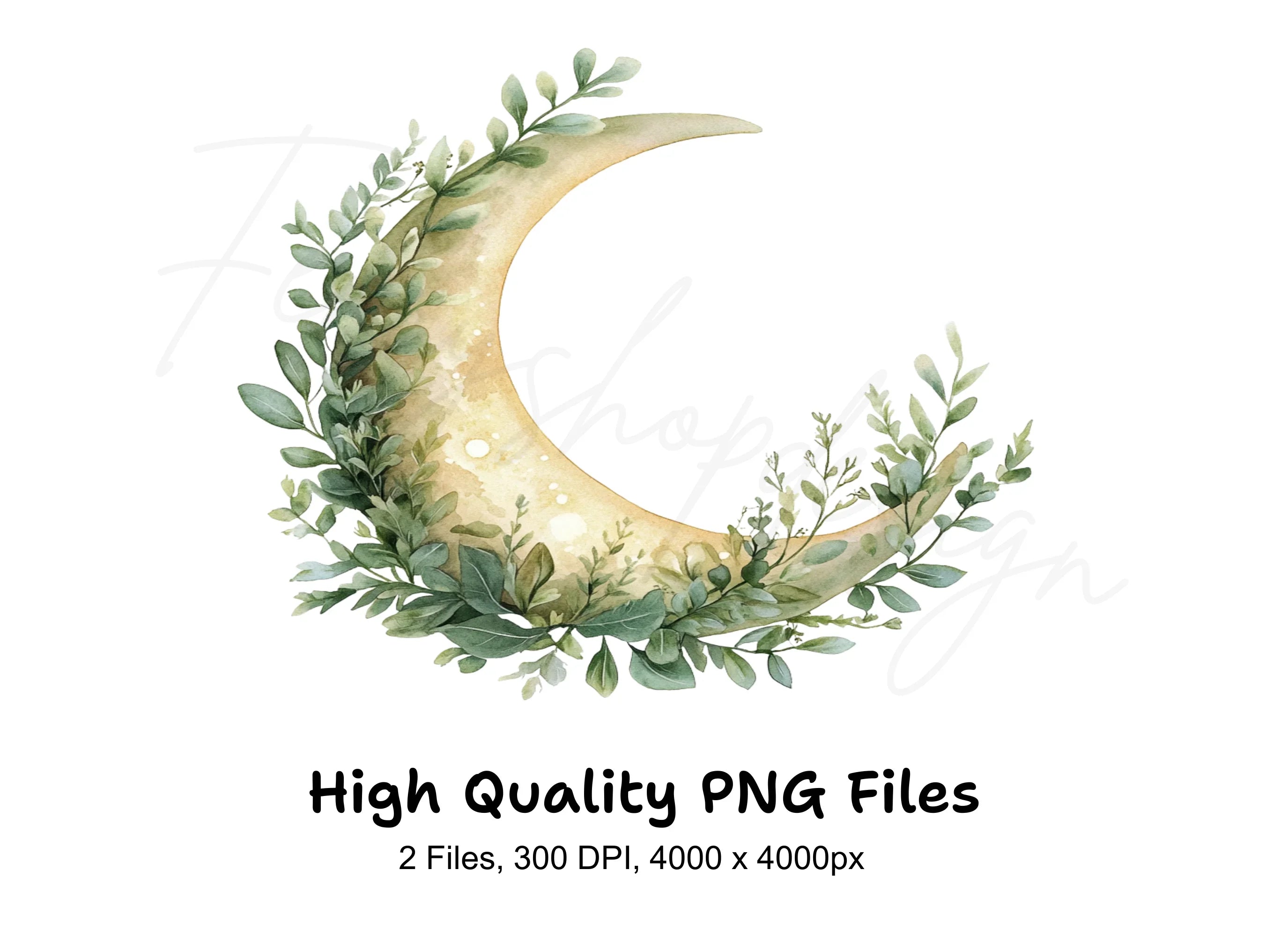 Botanical Crescent Moon Clipart Bundle