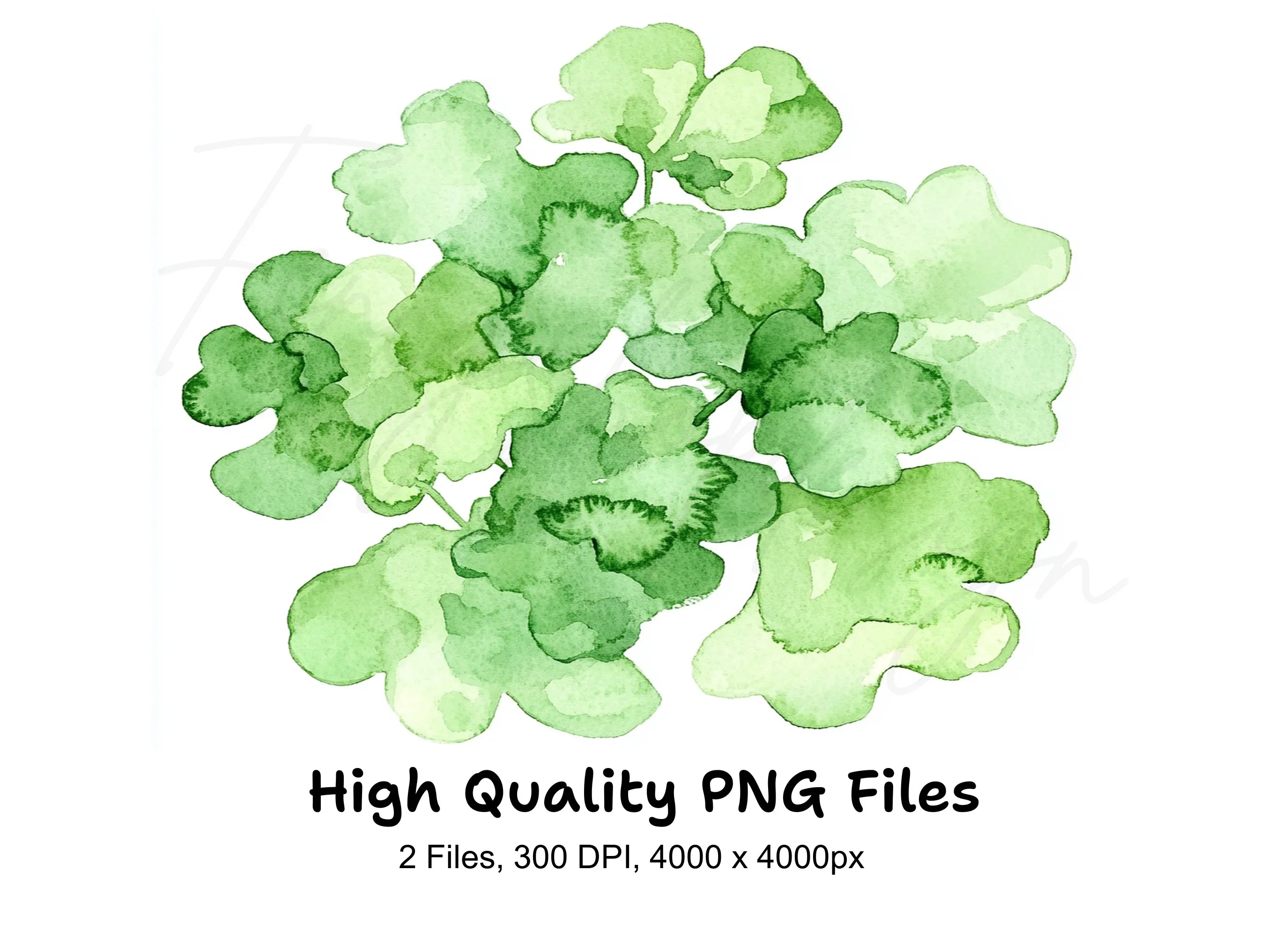 Greenery Clipart Bundle