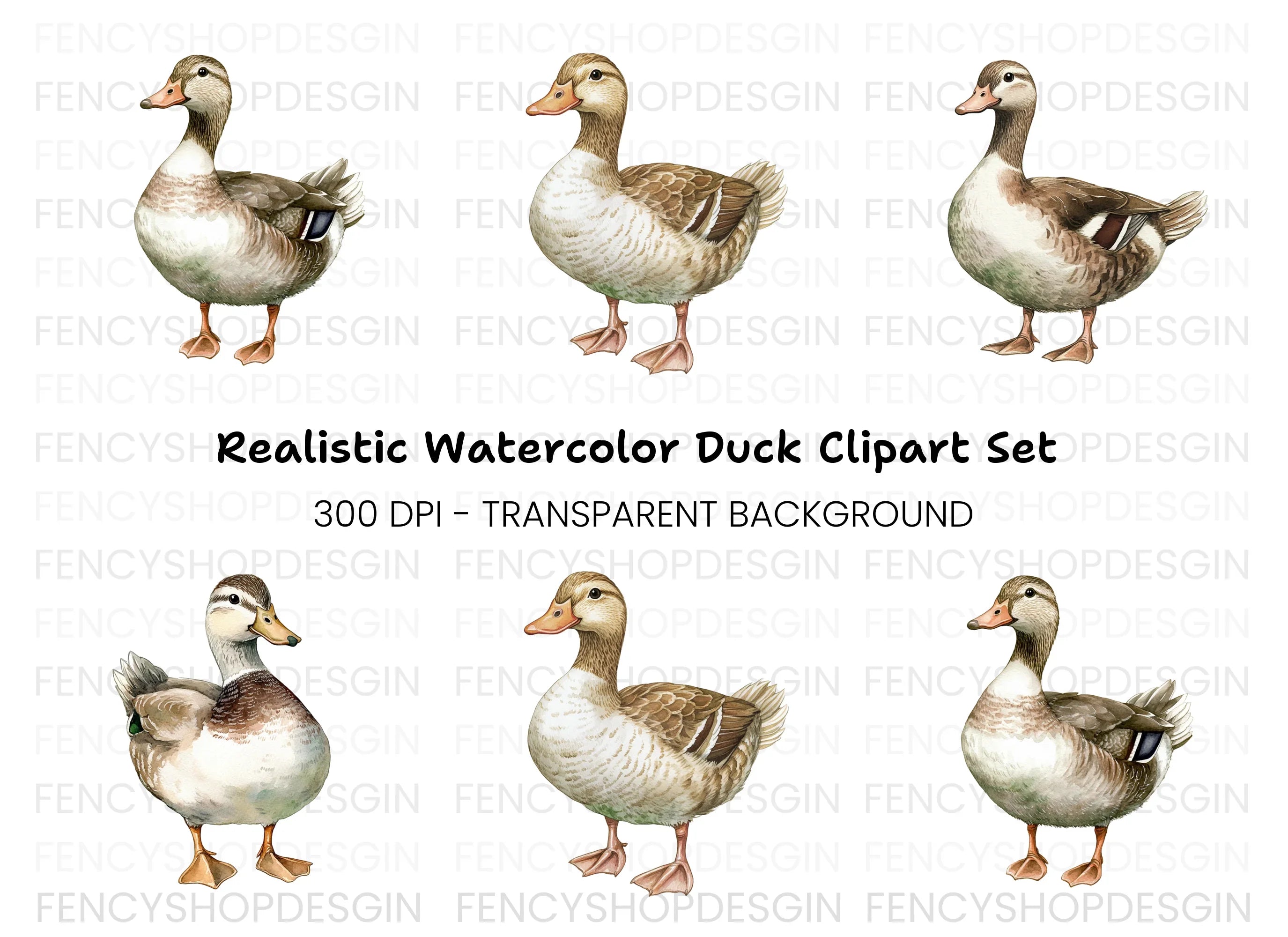 Cute Mallard Duck Clipart Bundle