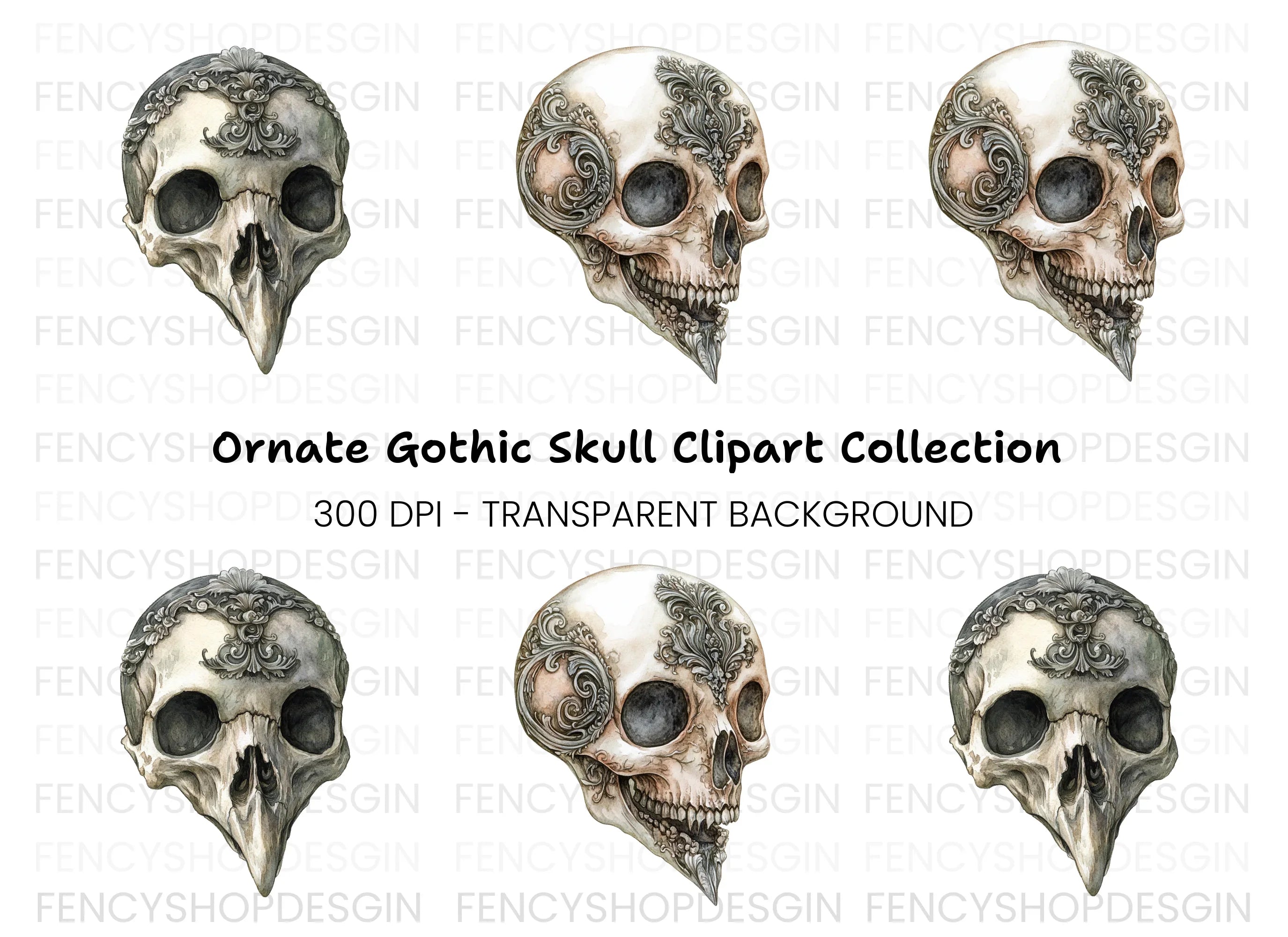Ornate Bird Skull Clipart Bundle