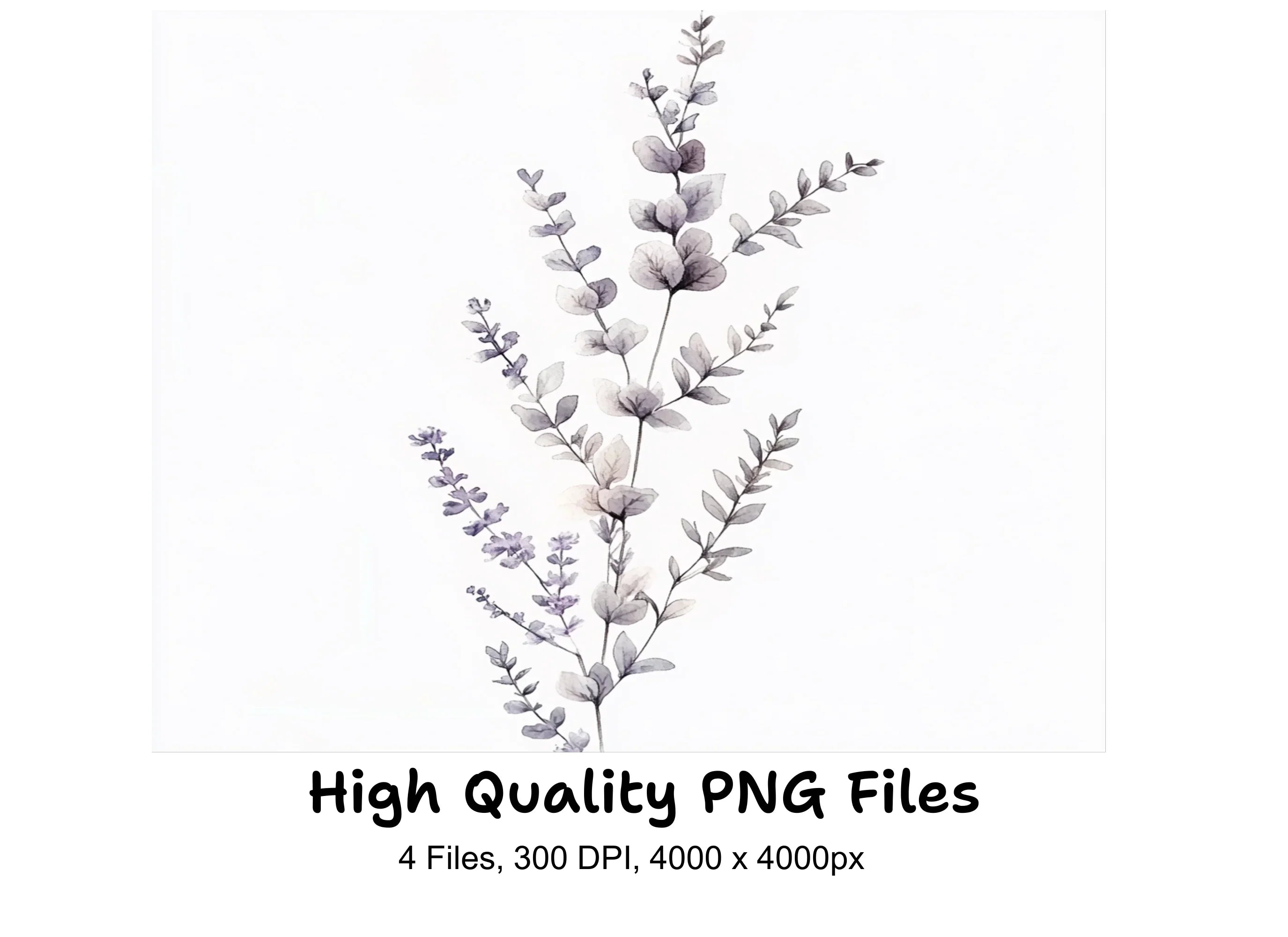 Eucalyptus and Lavender Clipart Bundle