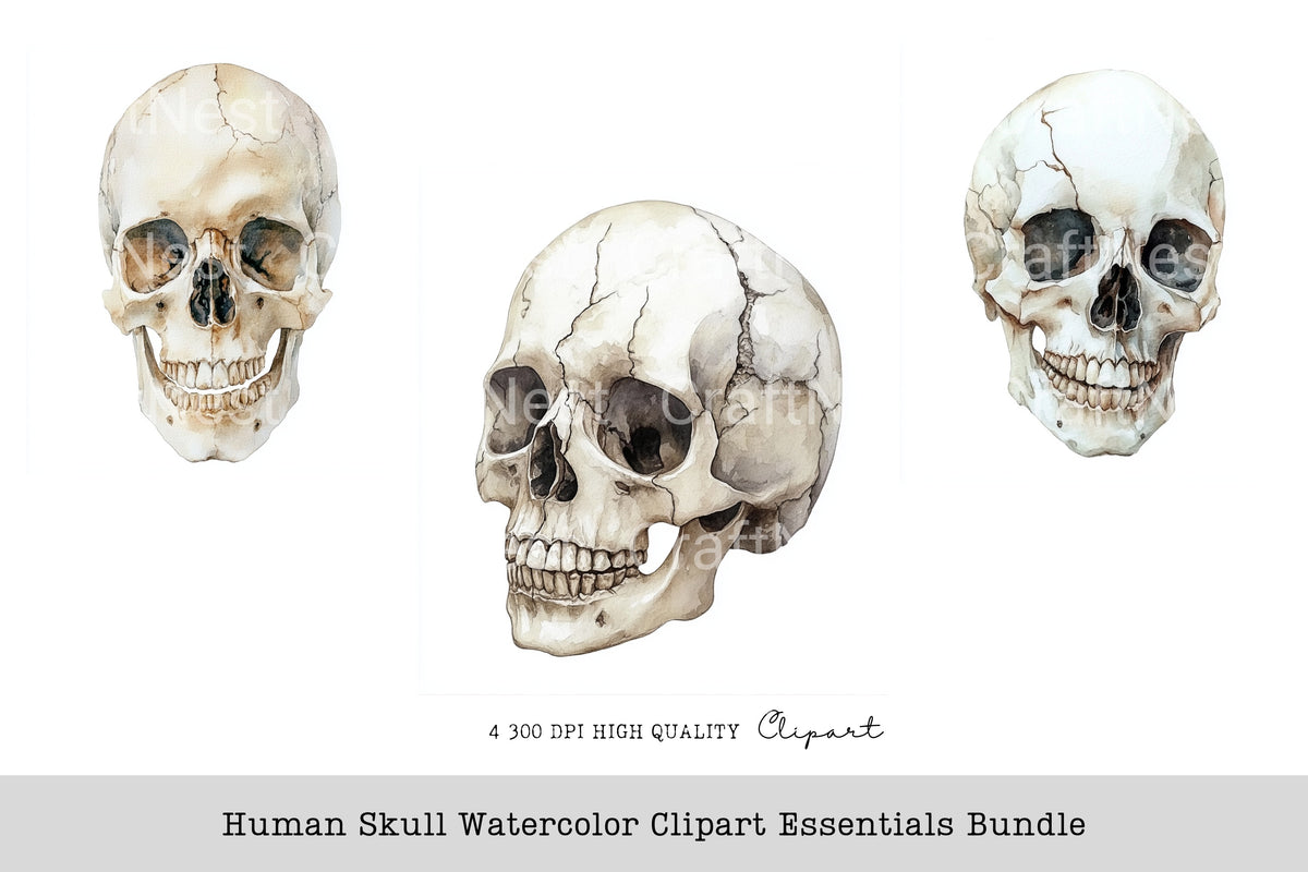 Human Skull Clipart Bundle