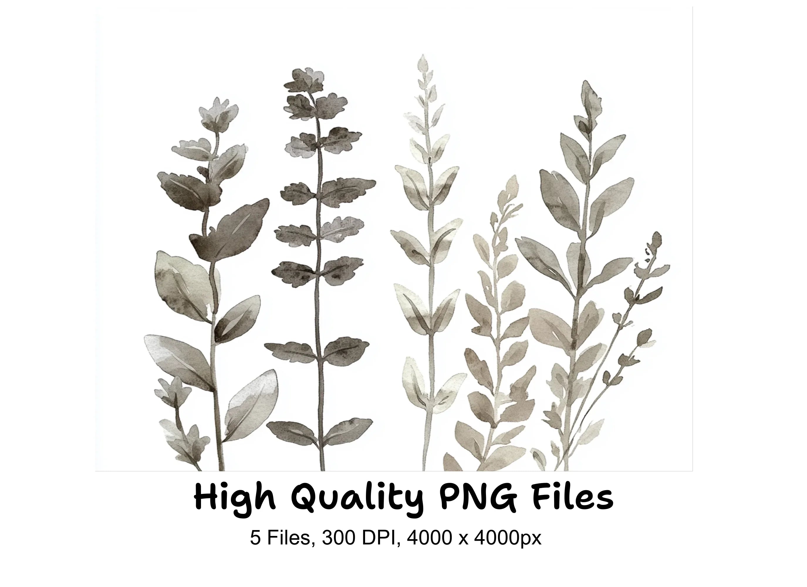 Botanical Clipart Bundle