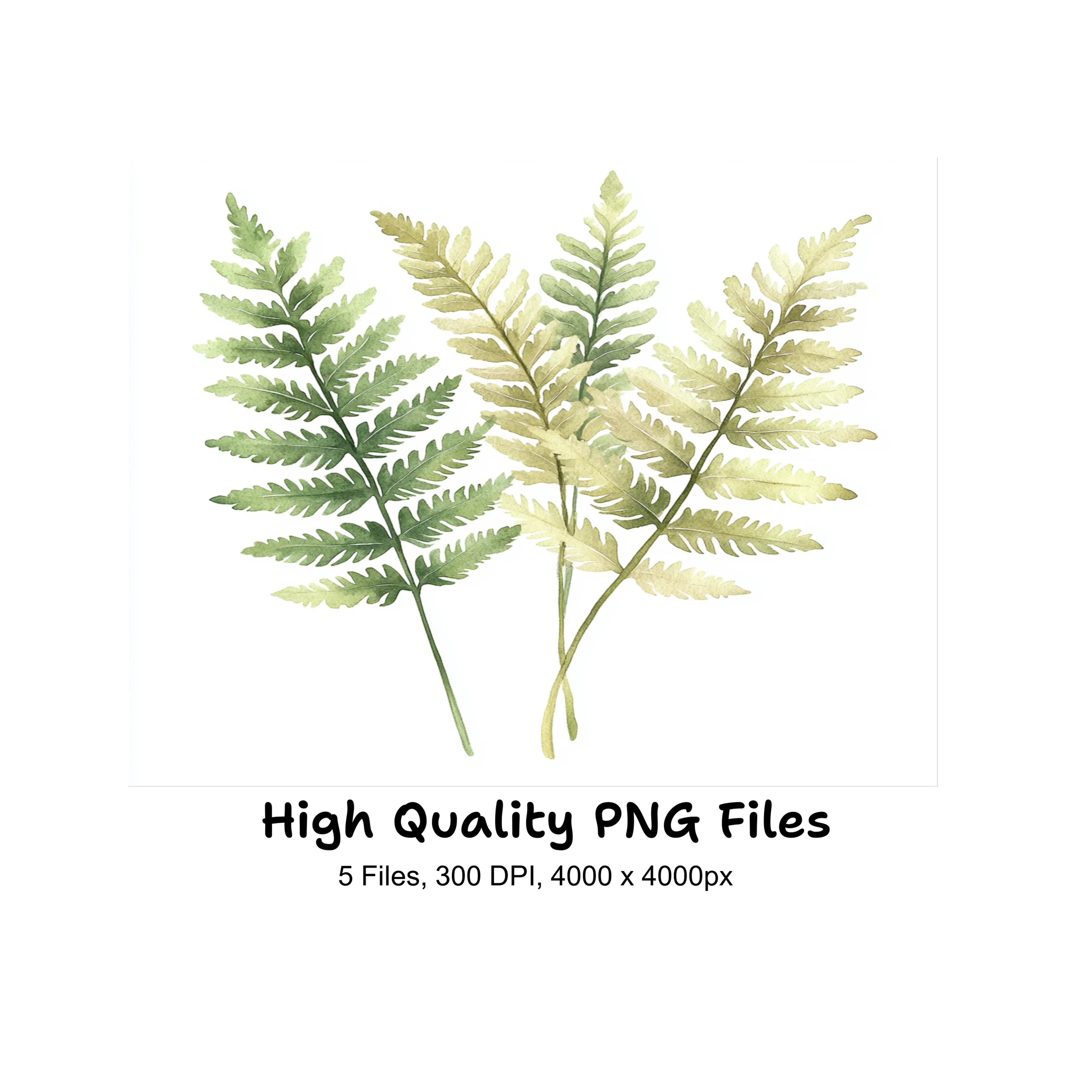 Fern Leaves Clipart Bundle