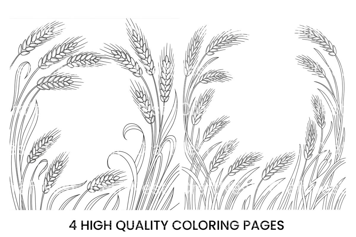 Wheat Ears Harvest Coloring Books