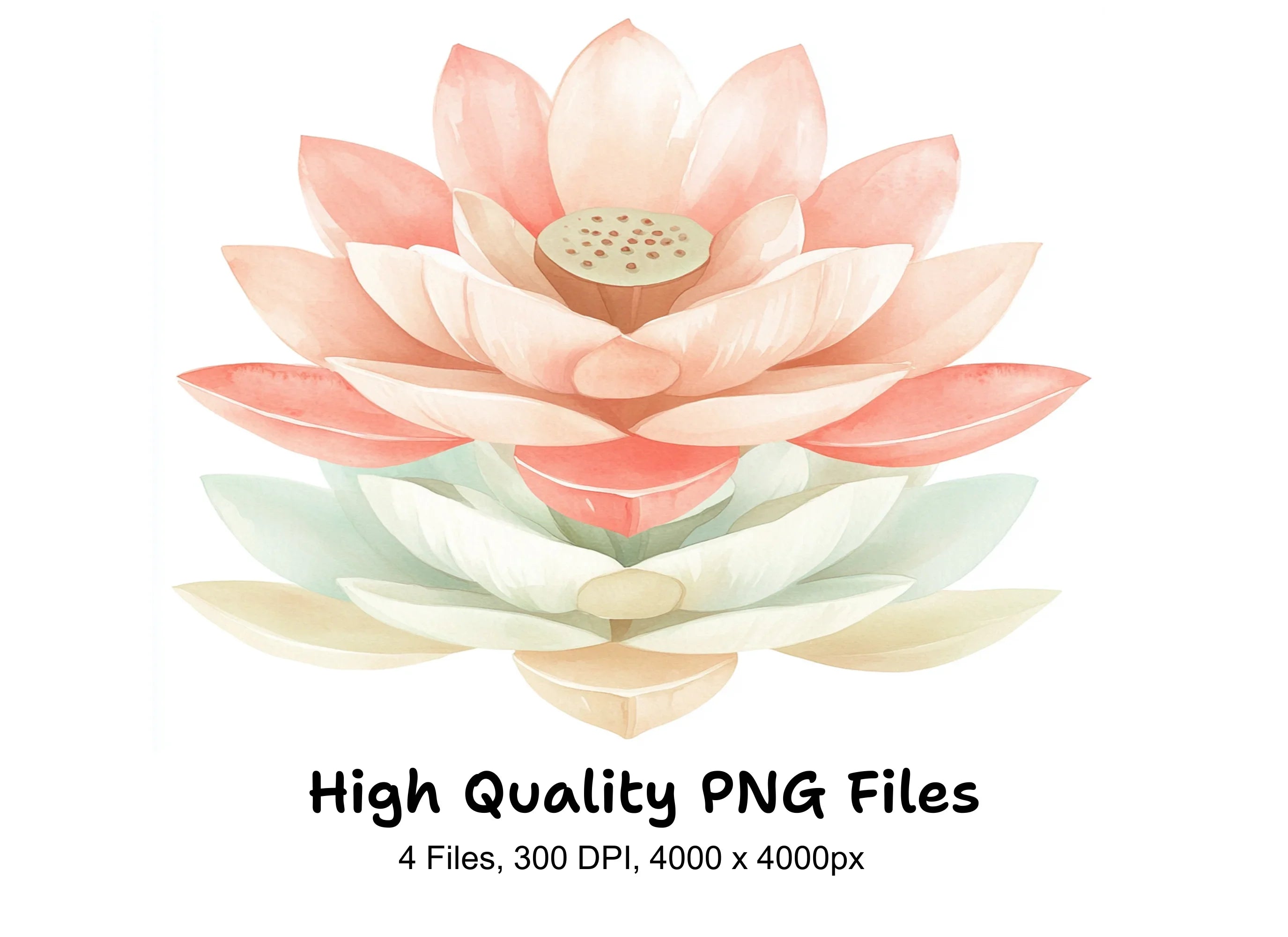 Elegant Lotus Flower Clipart Bundle