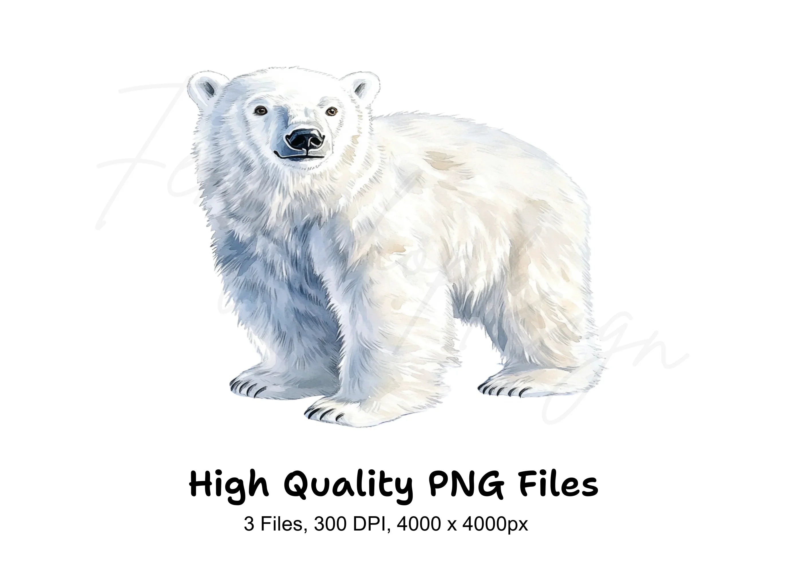 Realistic Standing Polar Bear Clipart Bundle