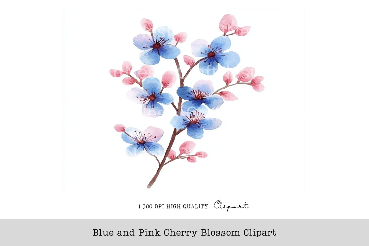 Blue And Pink Cherry Blossom Clipart Bundle