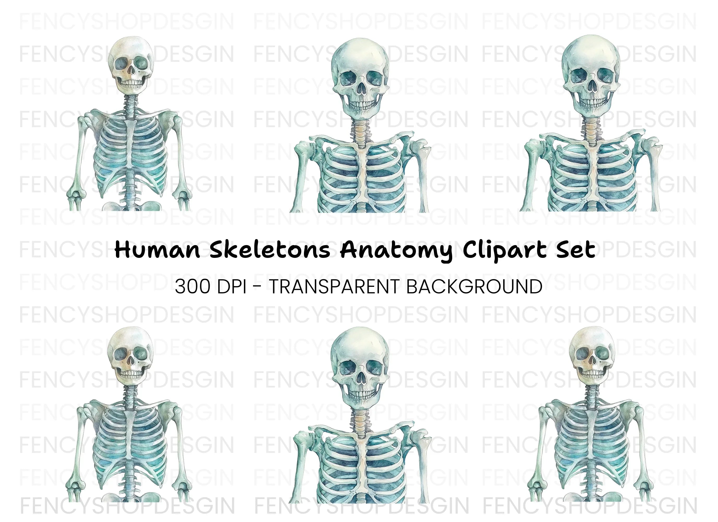 Human Skeleton Clipart Bundle