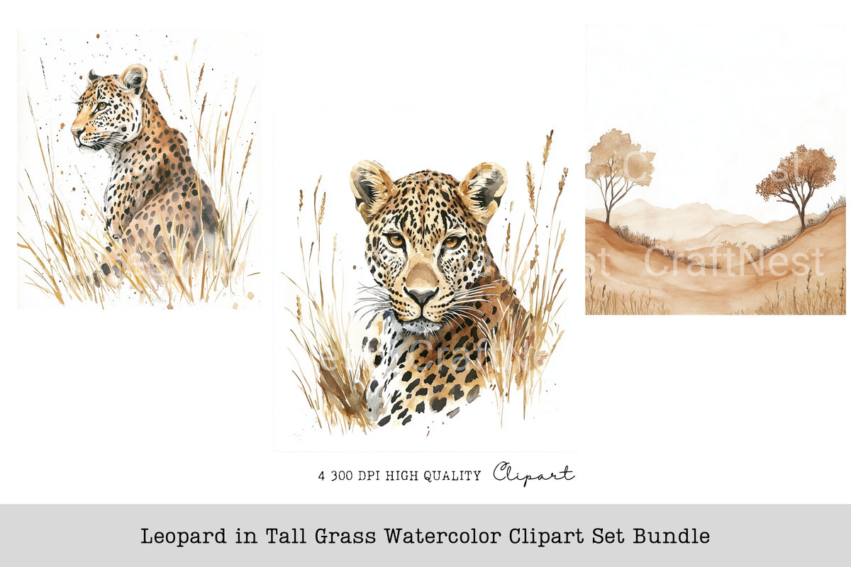 Leopard In Tall Grass Clipart Bundle