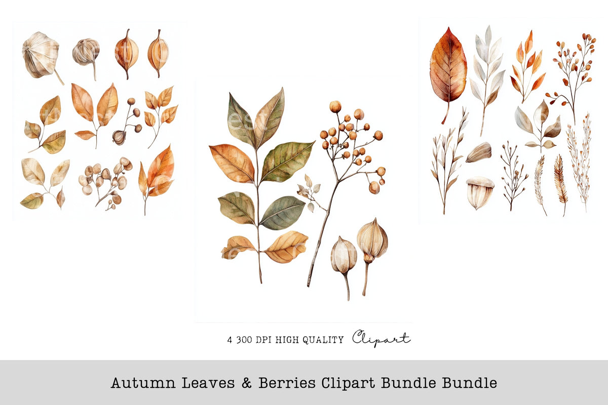 Autumn Leaves Berries Clipart Bundle