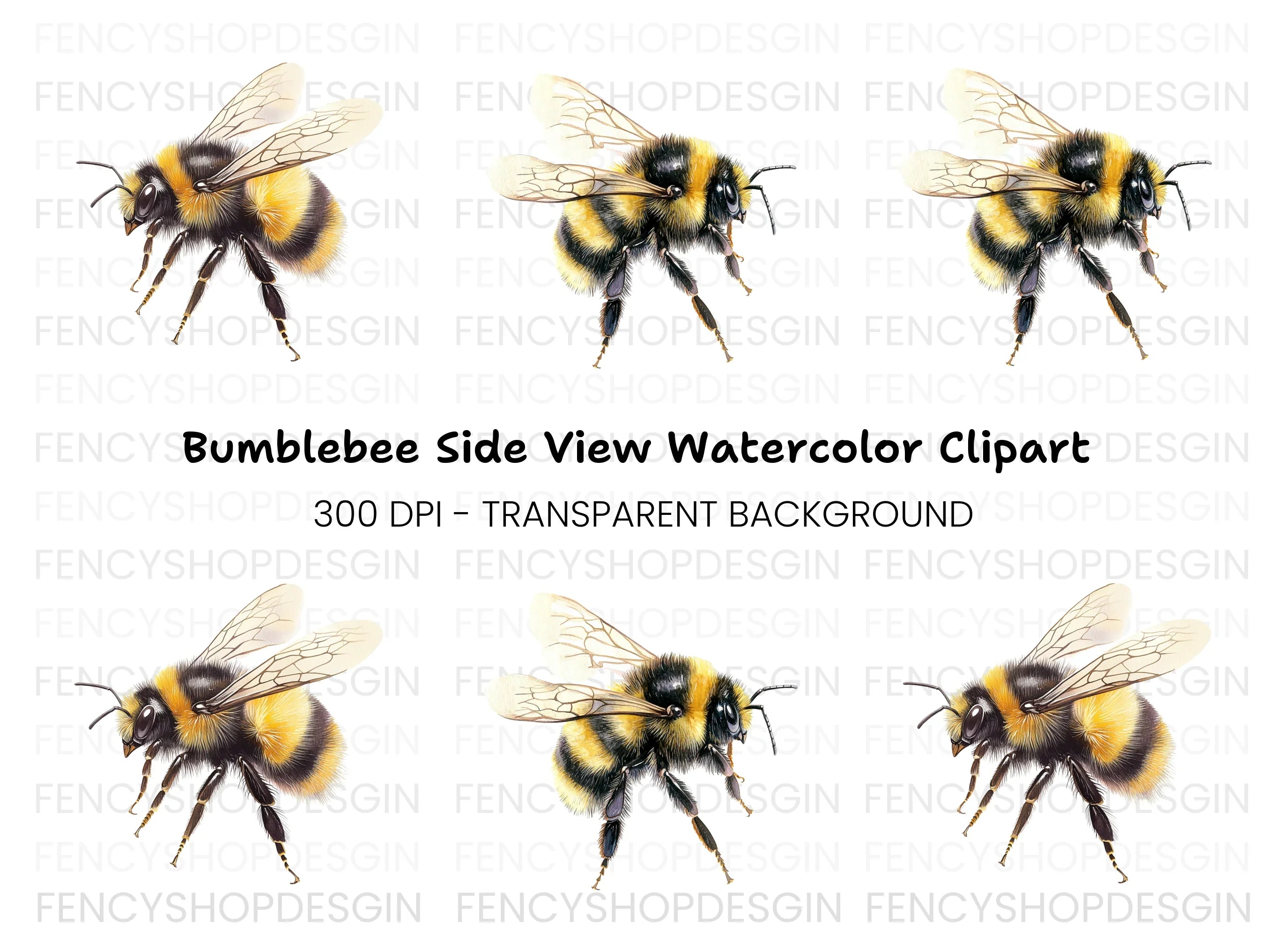 Fluffy Bumblebee Clipart Bundle