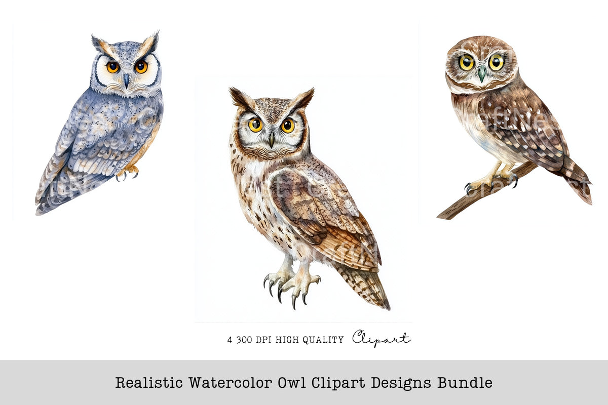 Realistic Watercolor Owl Clipart Designs Planner