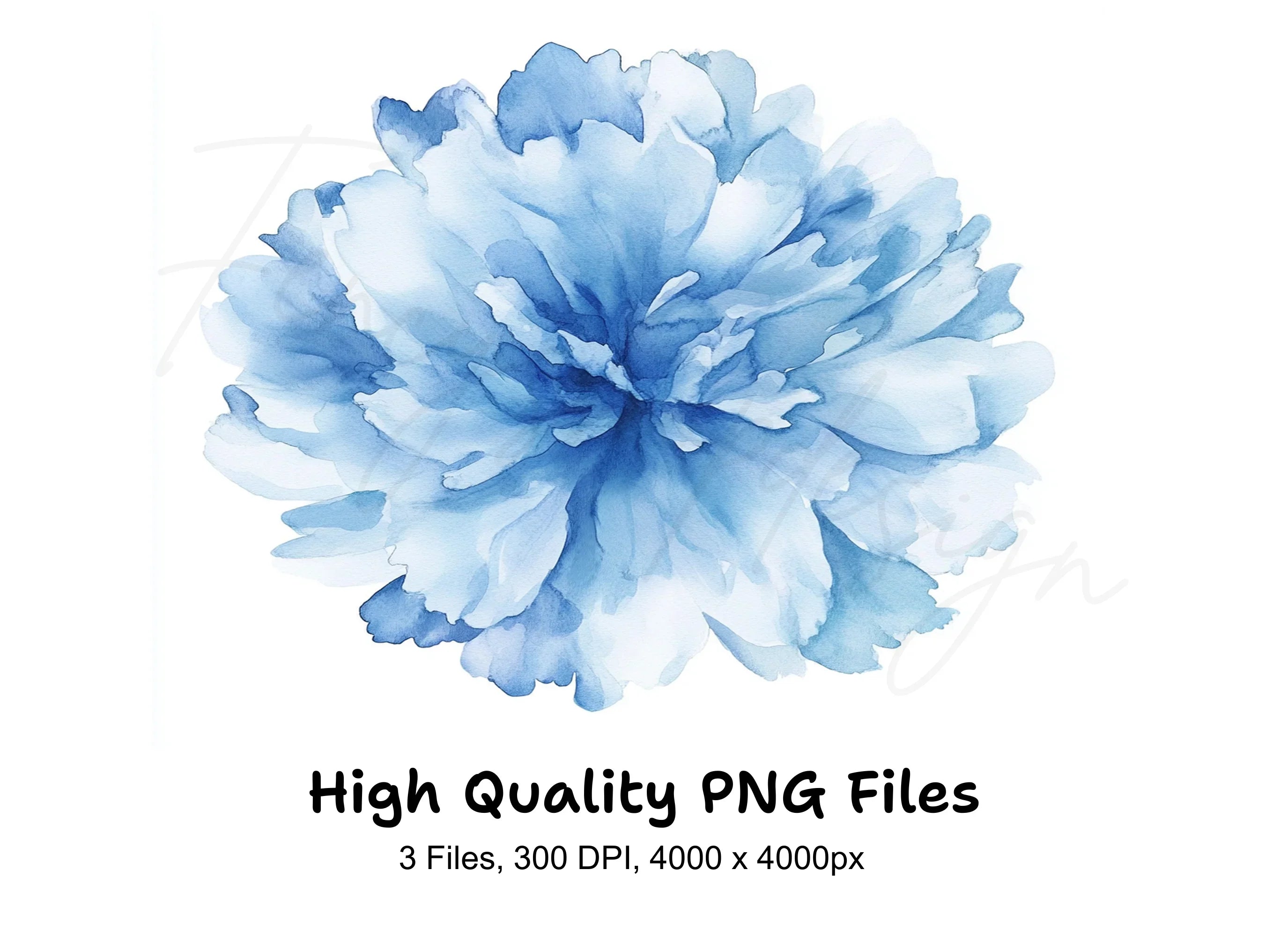 Floral Bloom Clipart Bundle