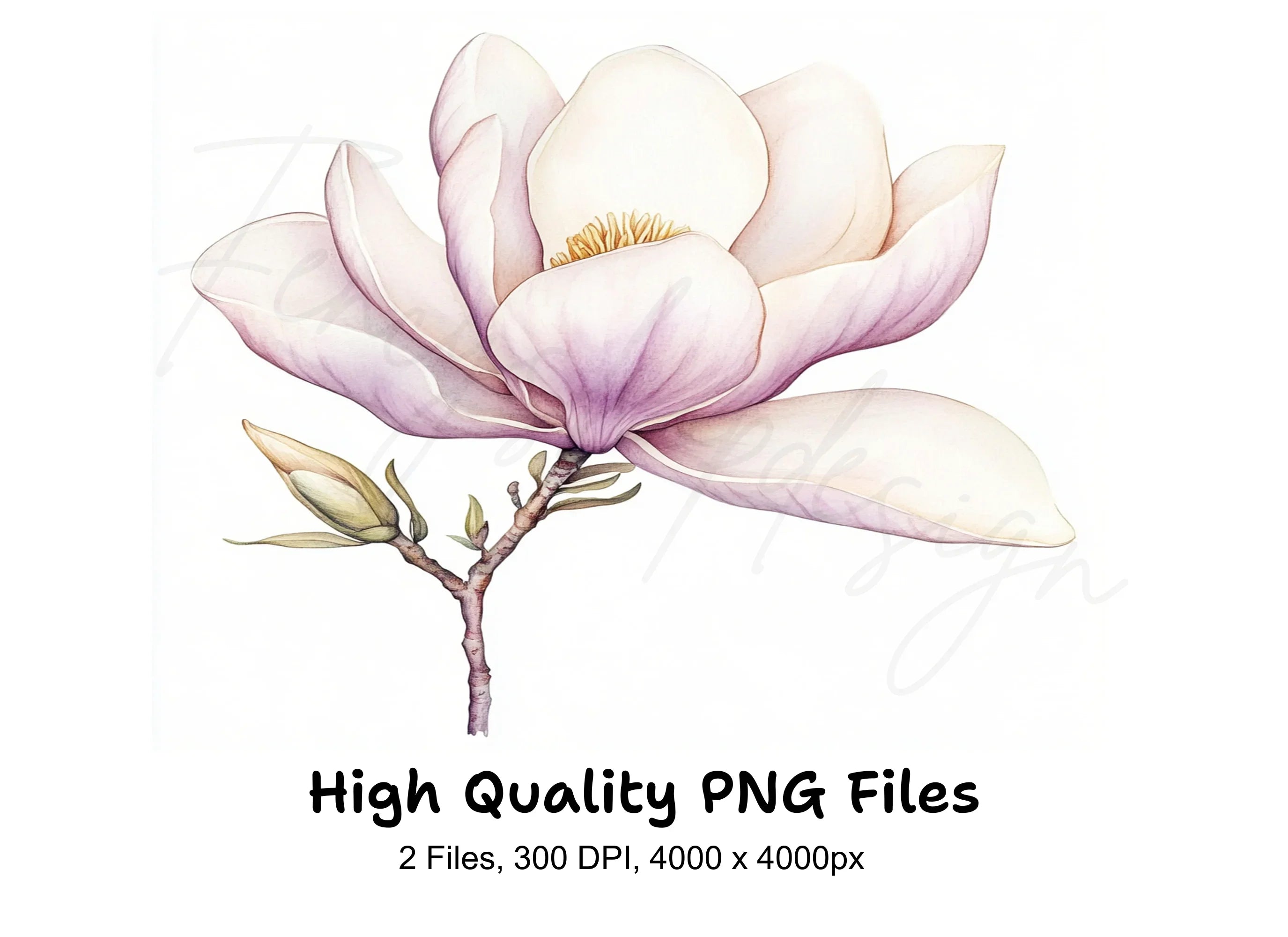 Elegant Magnolia Clipart Bundle