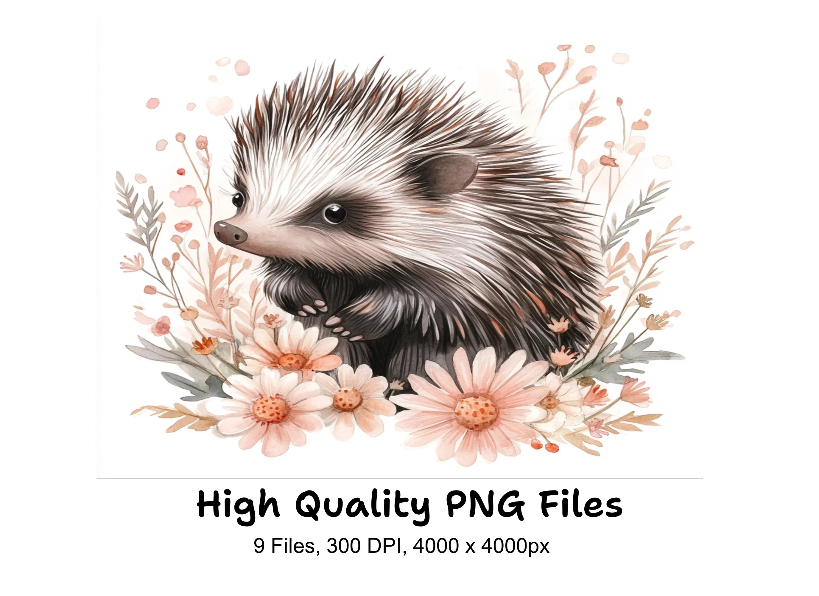 Charming Hedgehog with Flowers Clipart Bundle