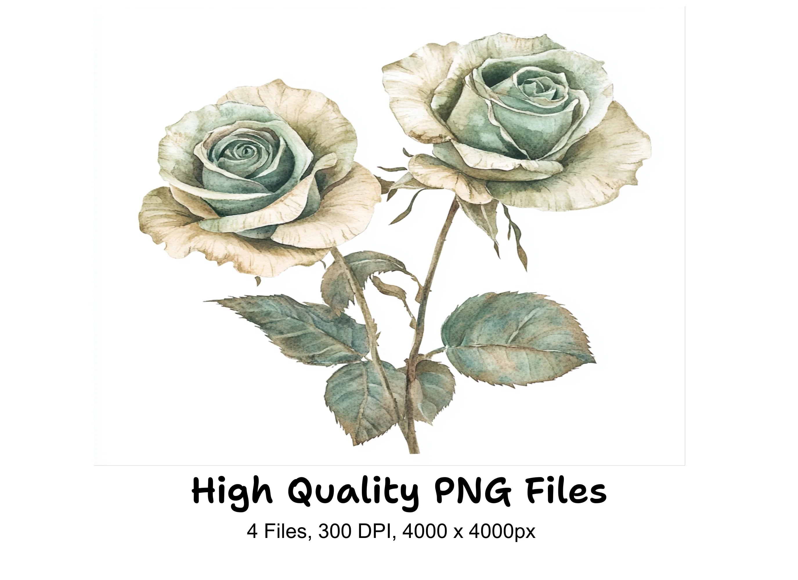 Elegant Sage Green Beige Rose Clipart Bundle