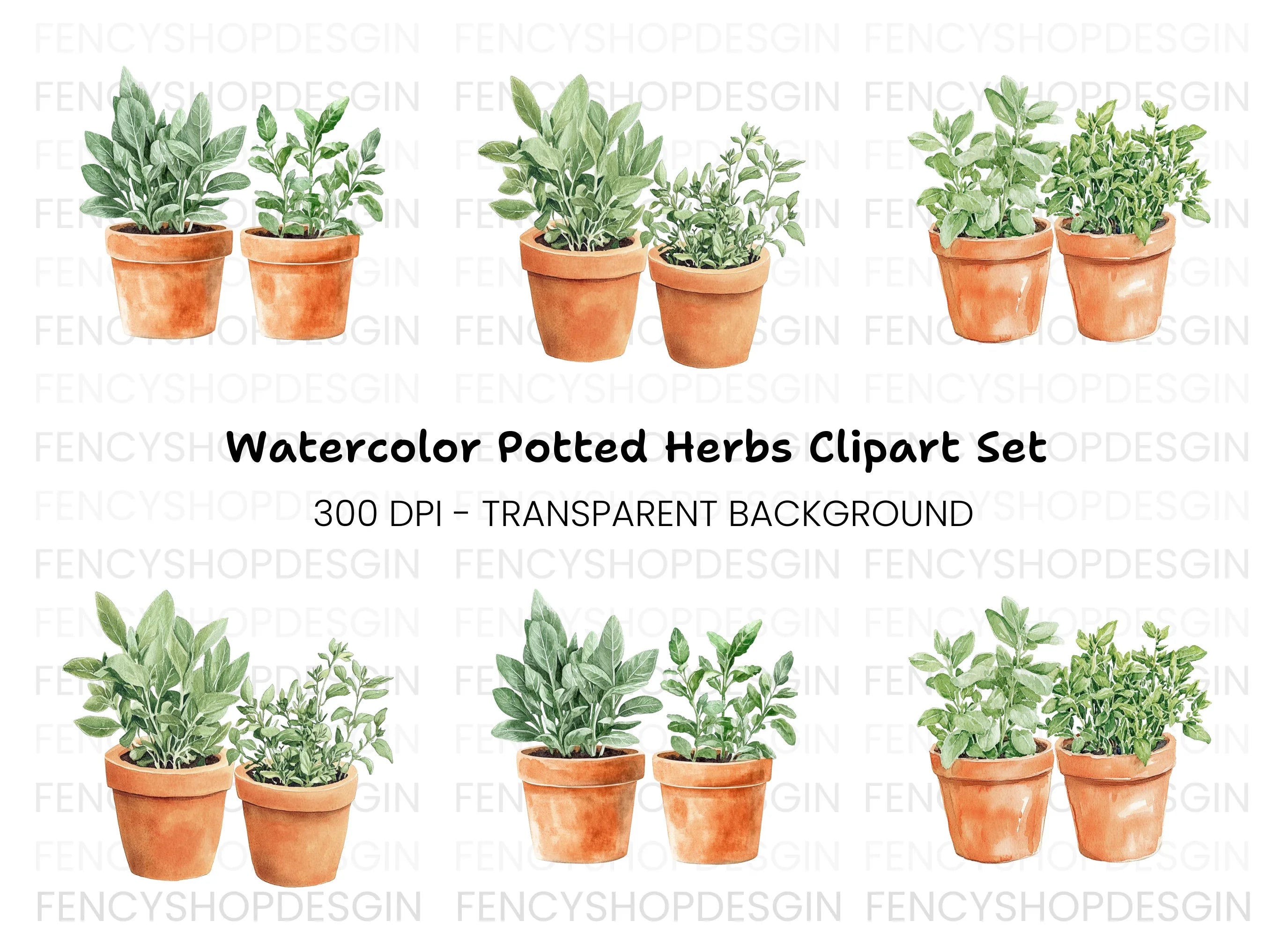 Herb Garden Potted Plants Clipart Bundle