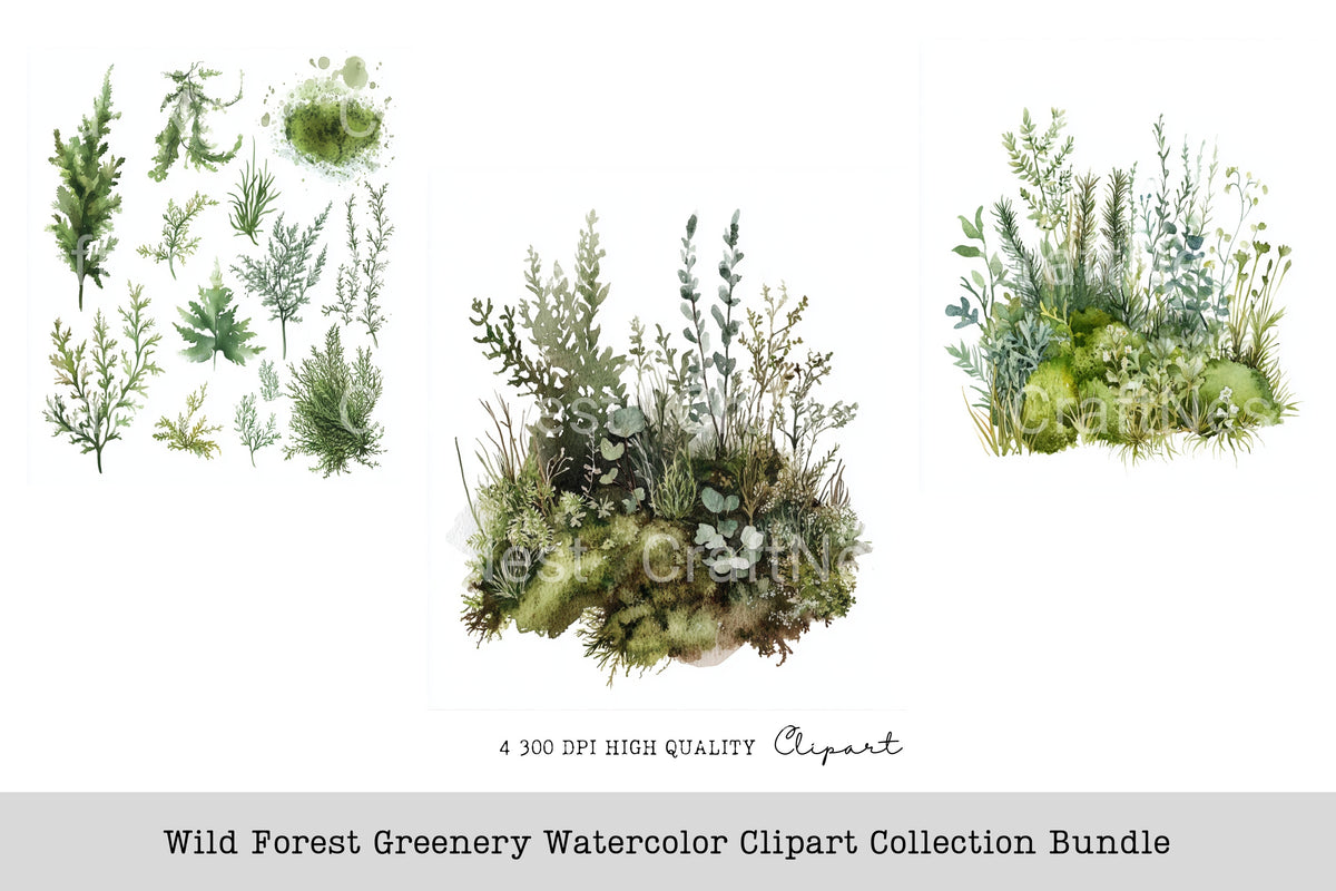 Wild Forest Greenery Clipart Bundle