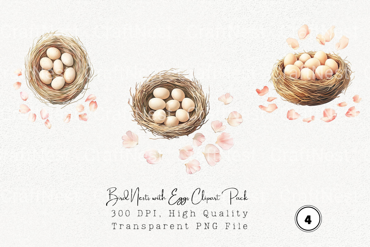 Bird Nests With Eggs Clipart Bundle