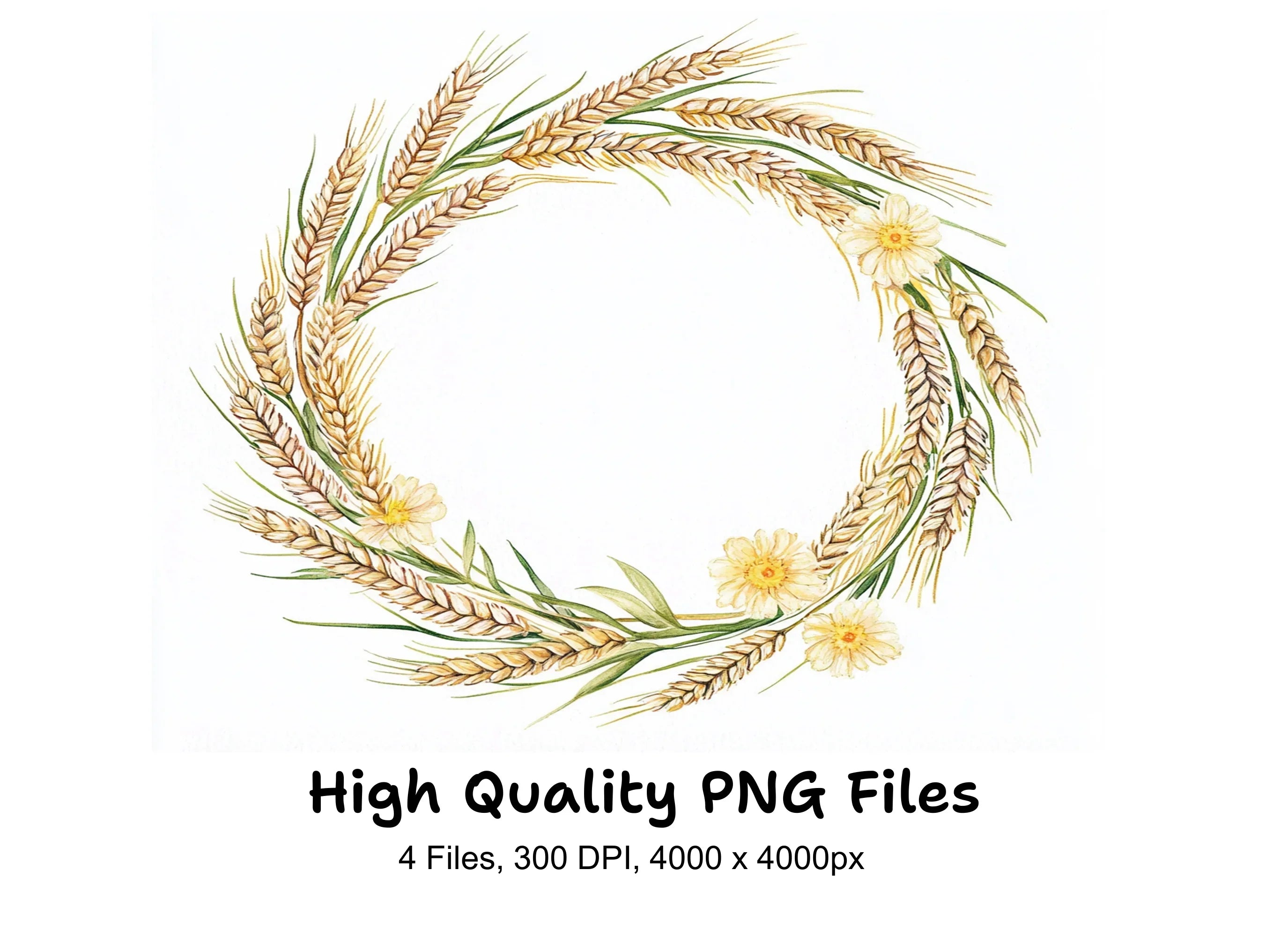 Daisy and Wheat Wreath Clipart Bundle