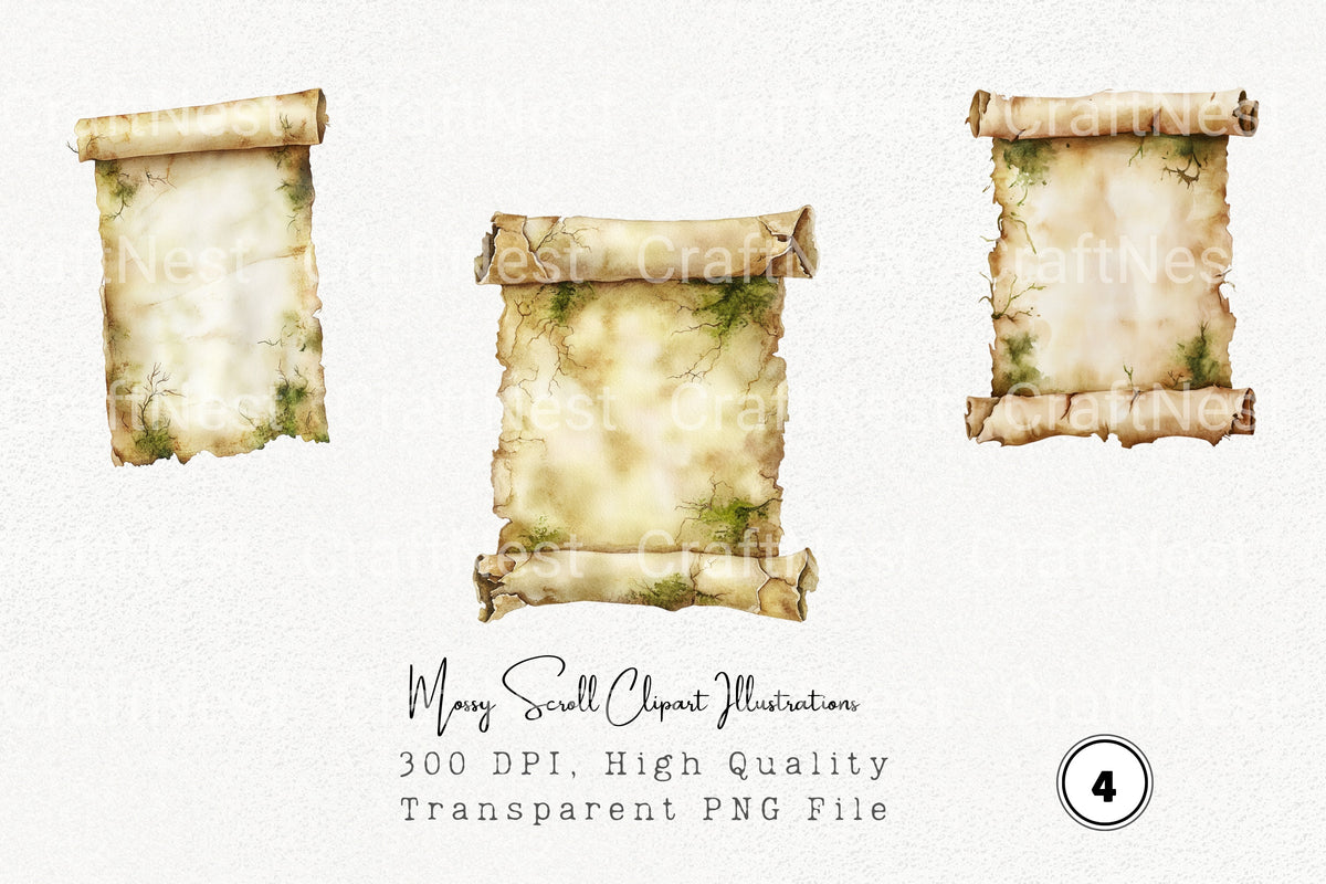 Mossy Scroll Illustrations Clipart Bundle