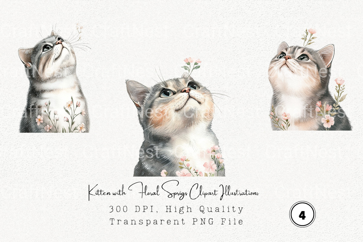 Kitten With Floral Sprigs Illustrations Clipart Bundle